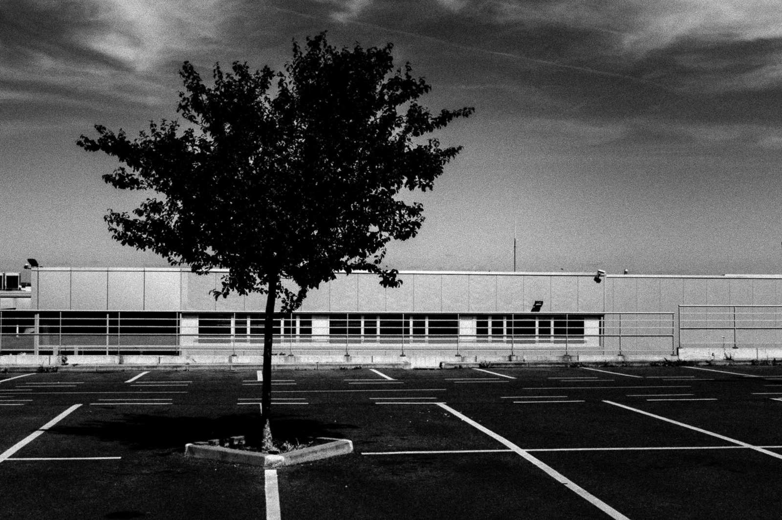 Black and white photo of an empty parking lot with a single tree in a small concrete planter in the center, and a building with a horizontal row of windows in the background, under a cloudy sky.
