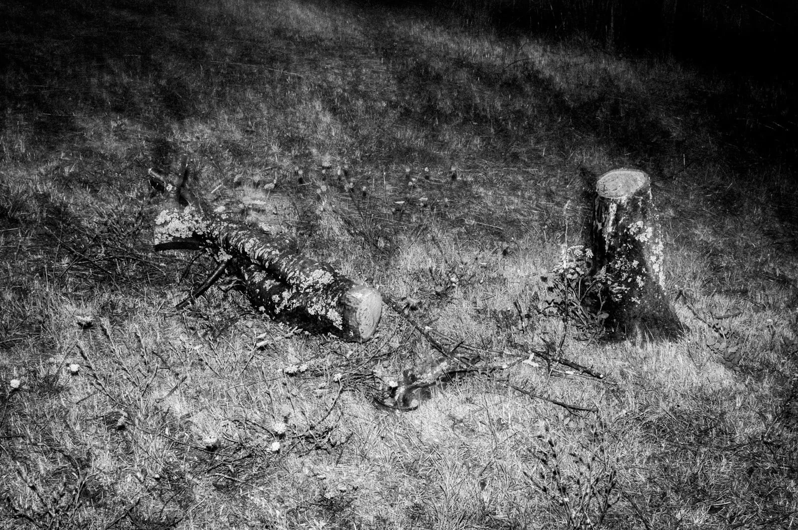 Resonances Matthias Koch-15.jpg