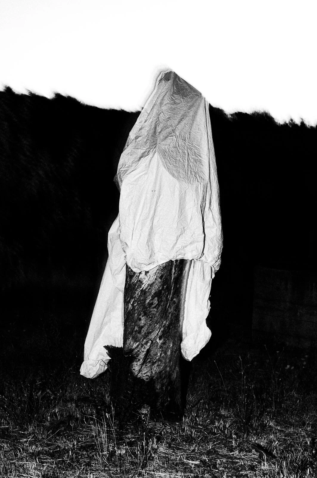 A tree trunk wrapped with a crumpled paper or cloth, outdoors on grass with a dark, hilly background.