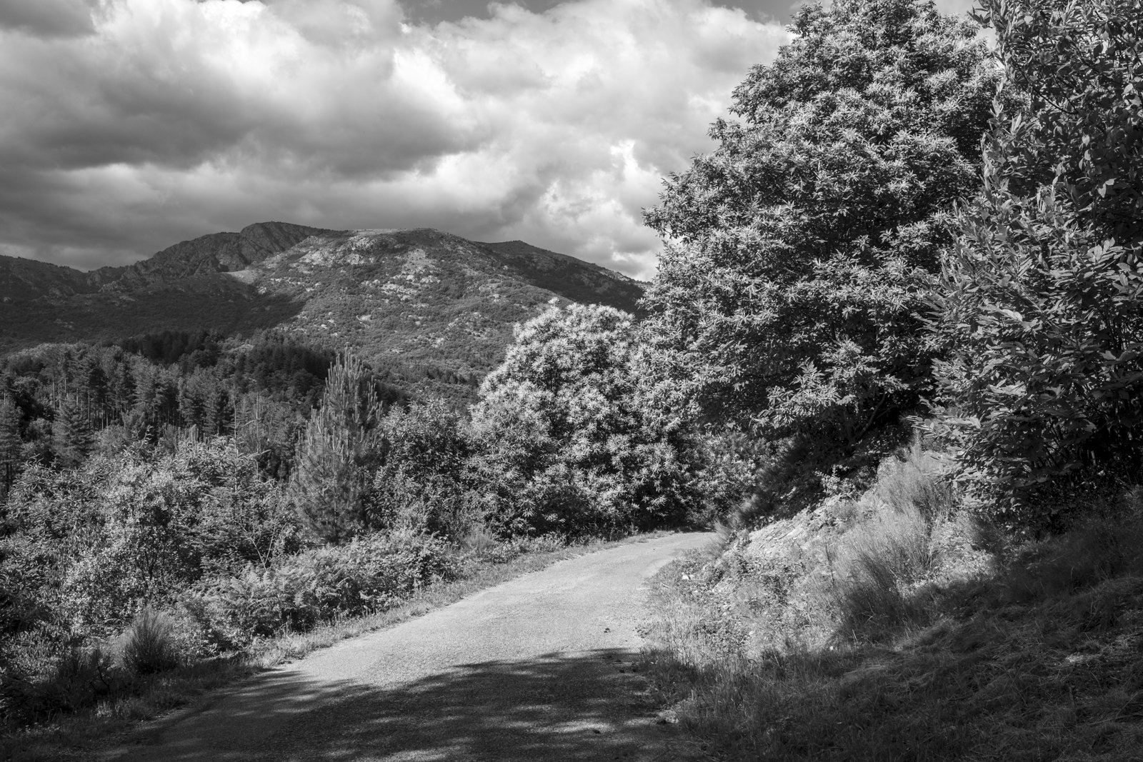 Toward nuance — Photographic notes from the slopes of the Tanargue