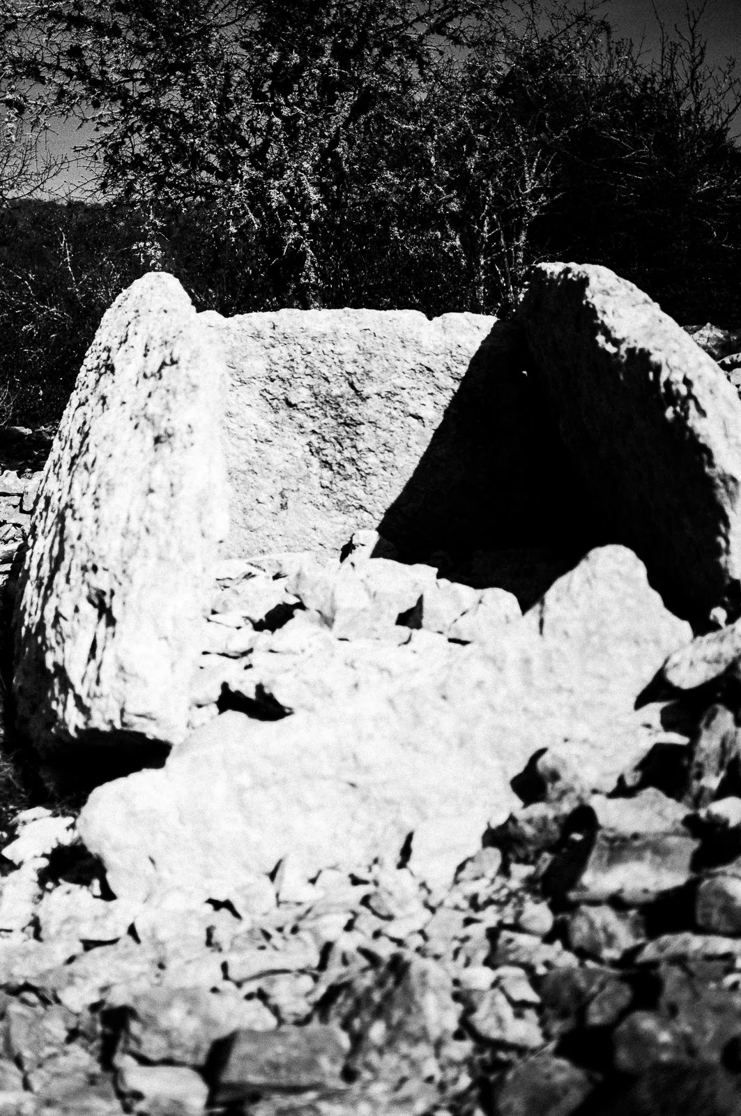 Large rocks and boulders in a natural outdoor setting with trees in the background, in black and white.