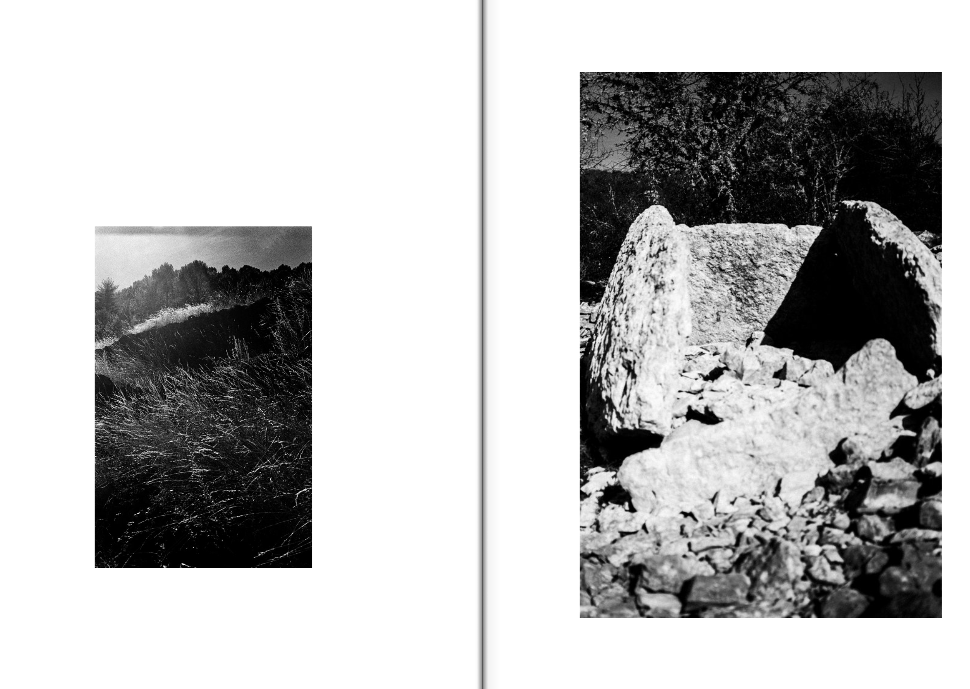 Resonances 3 Mathias Koch.png