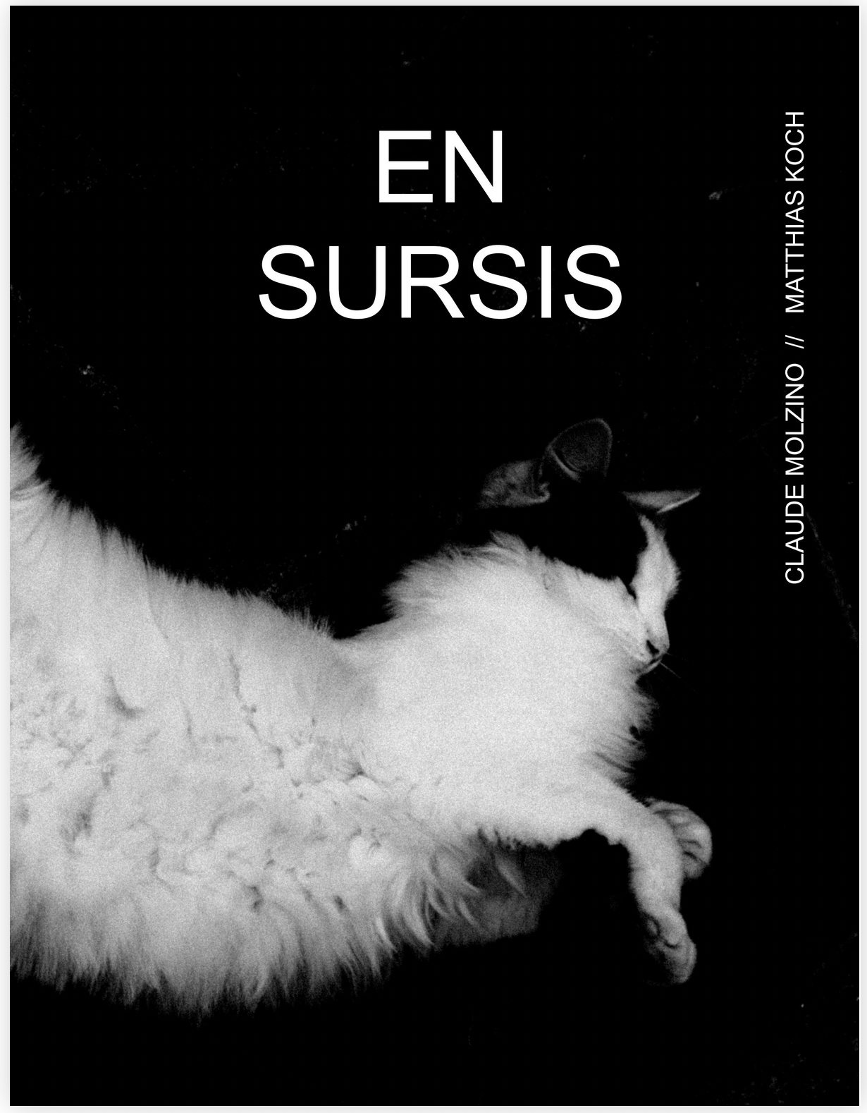 Black and white photograph of a sleeping cat curled up on a dark surface with the book title 'En Sursis' and author names visible.
