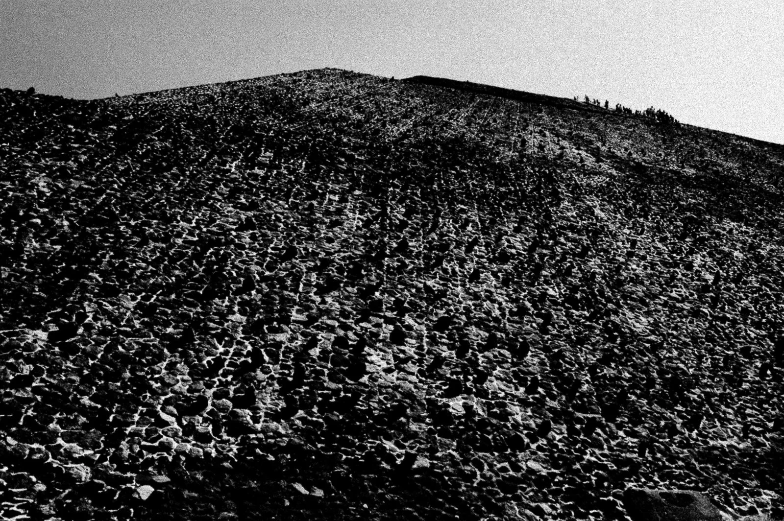 Black and white photograph of a rocky, sandy hillside with animal footprints and a small group of people at the top.
