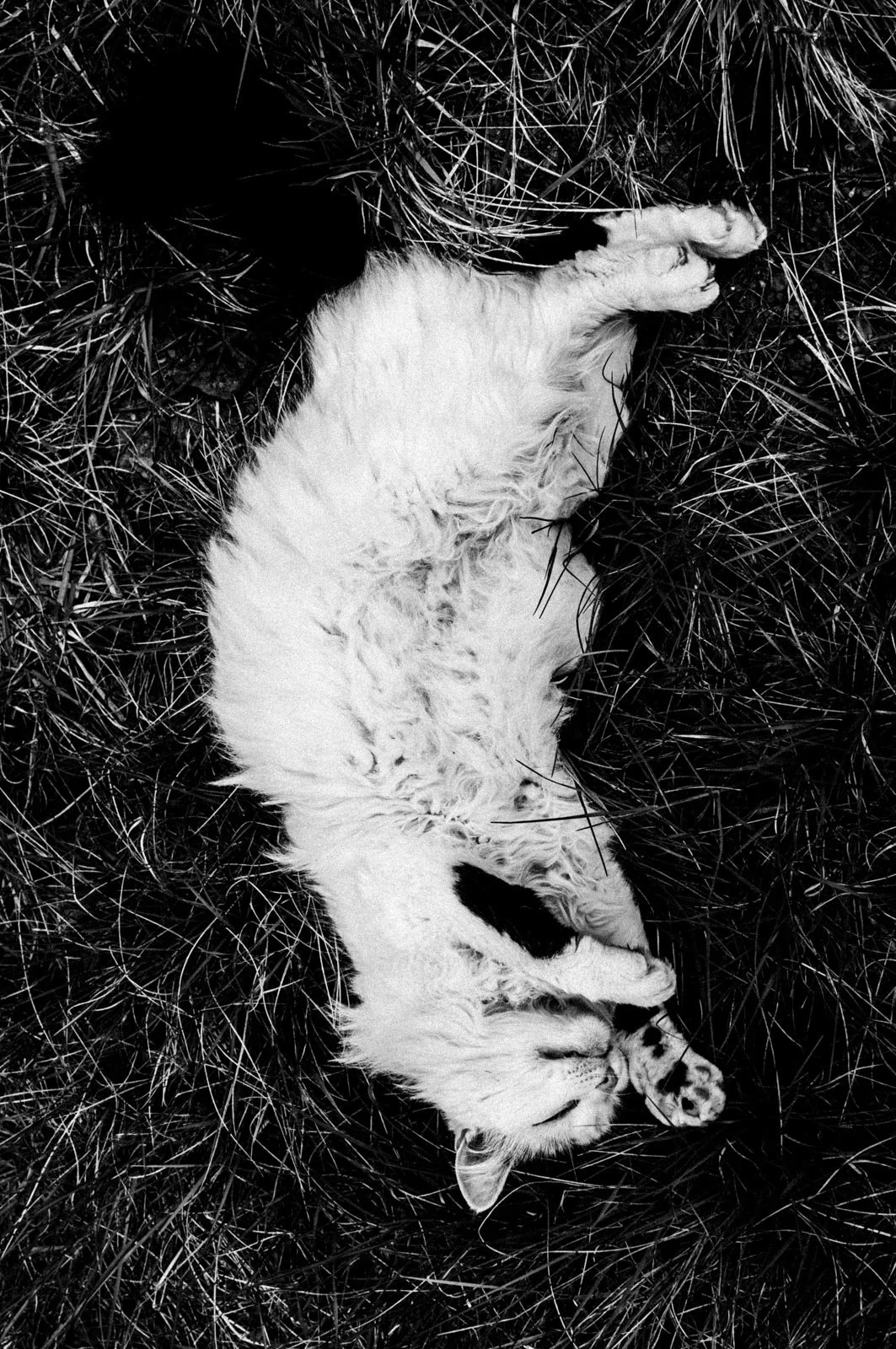 Resonances Matthias Koch-9.jpg