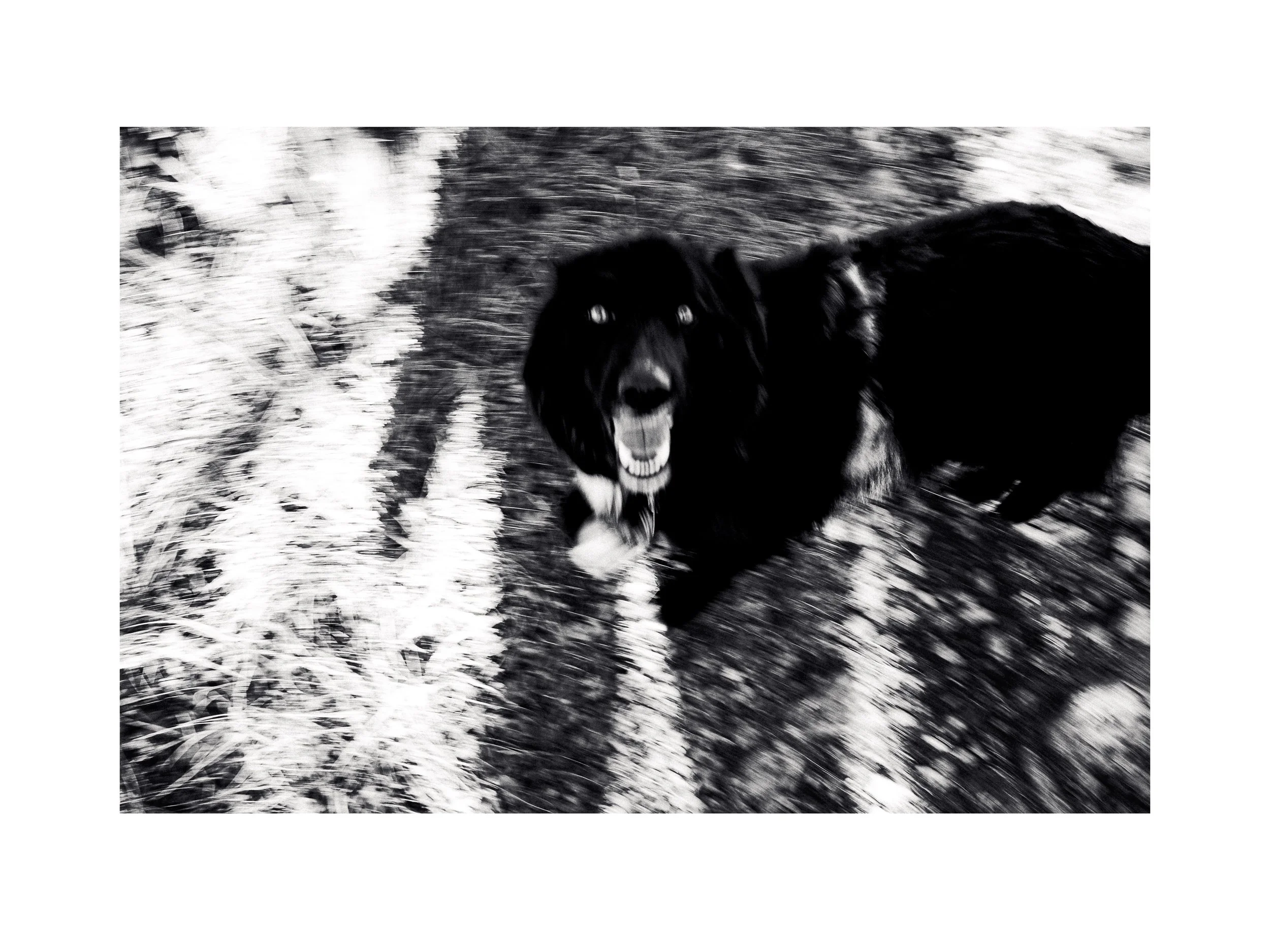 Resonances