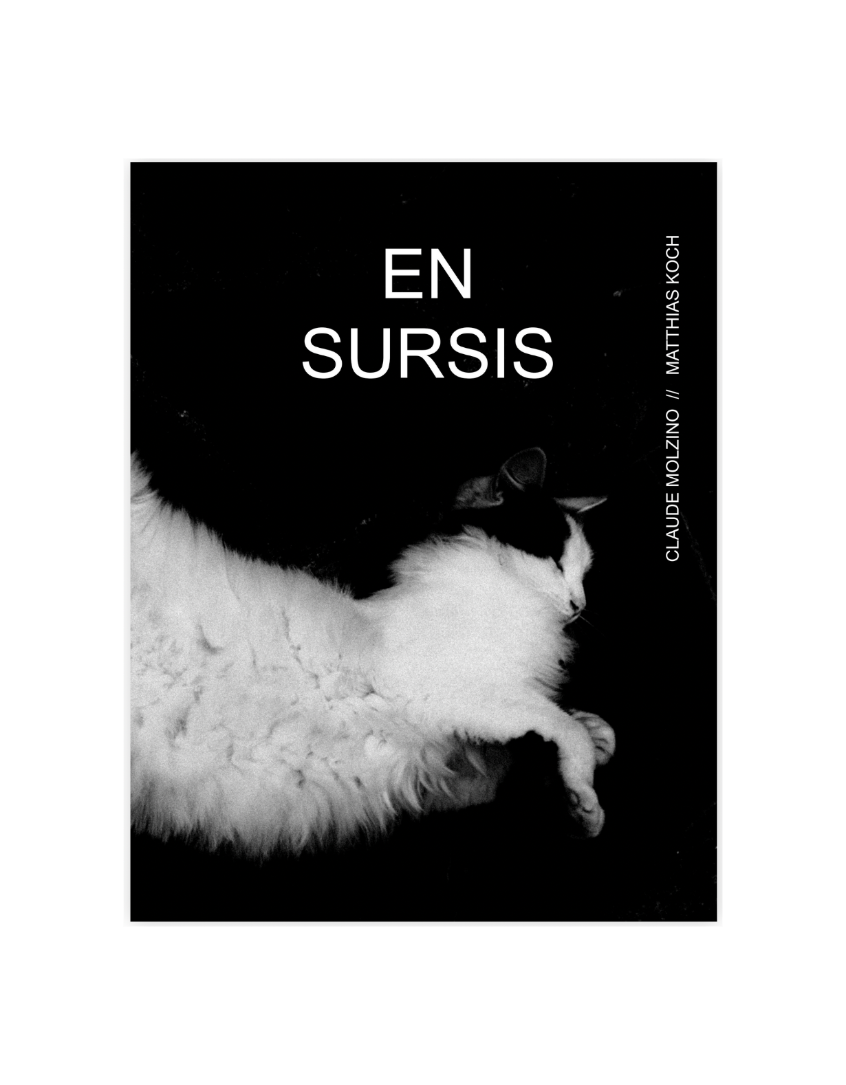 Book cover titled 'En Sursis' by Claude Molzino and Matthias Koch, featuring a black and white photograph of two sleeping cats, one black and white, curled together.