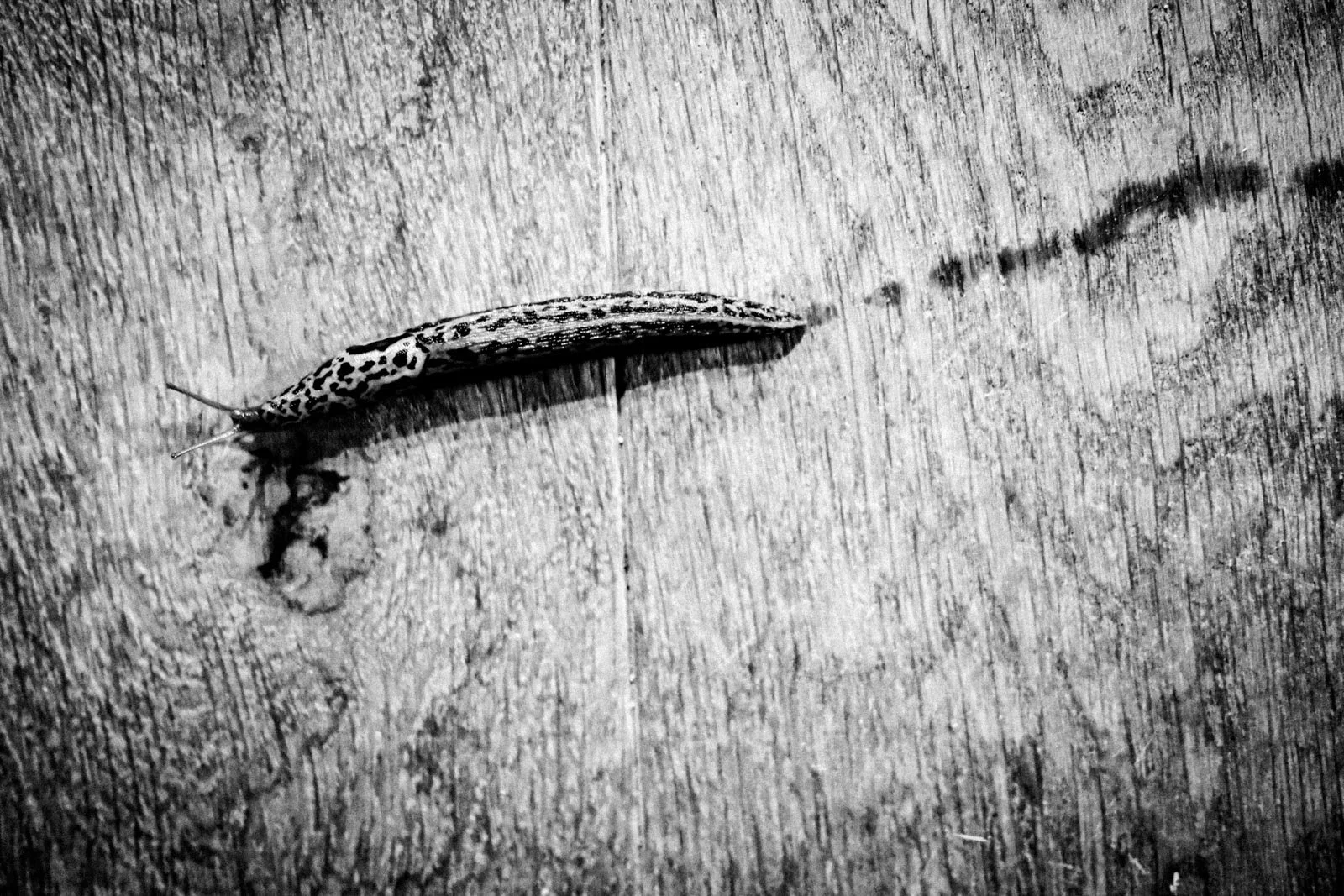 Resonances Matthias Koch-21.jpg