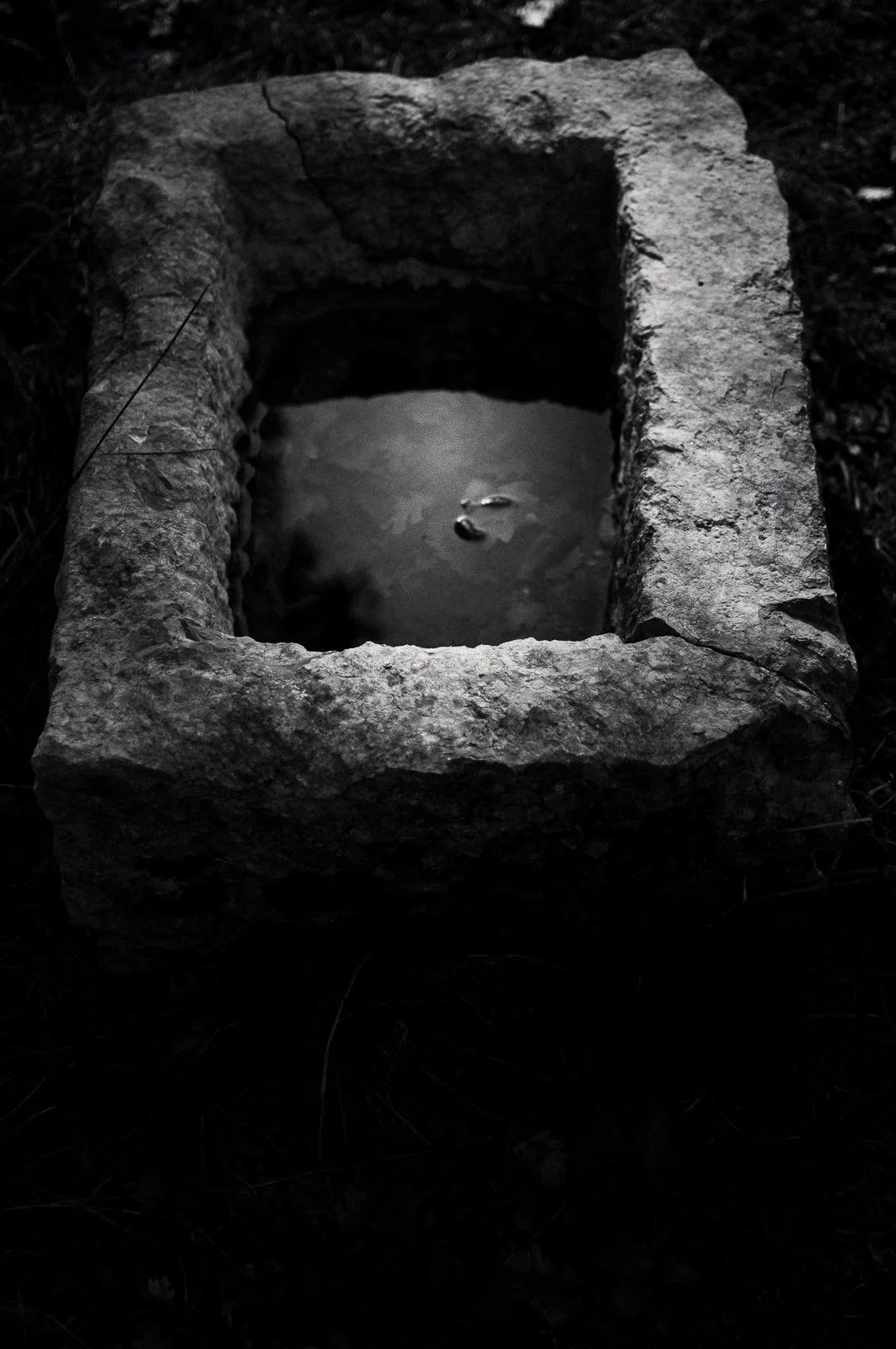 A rectangular stone water basin with three small fish swimming in the water, outdoors on a dark surface.
