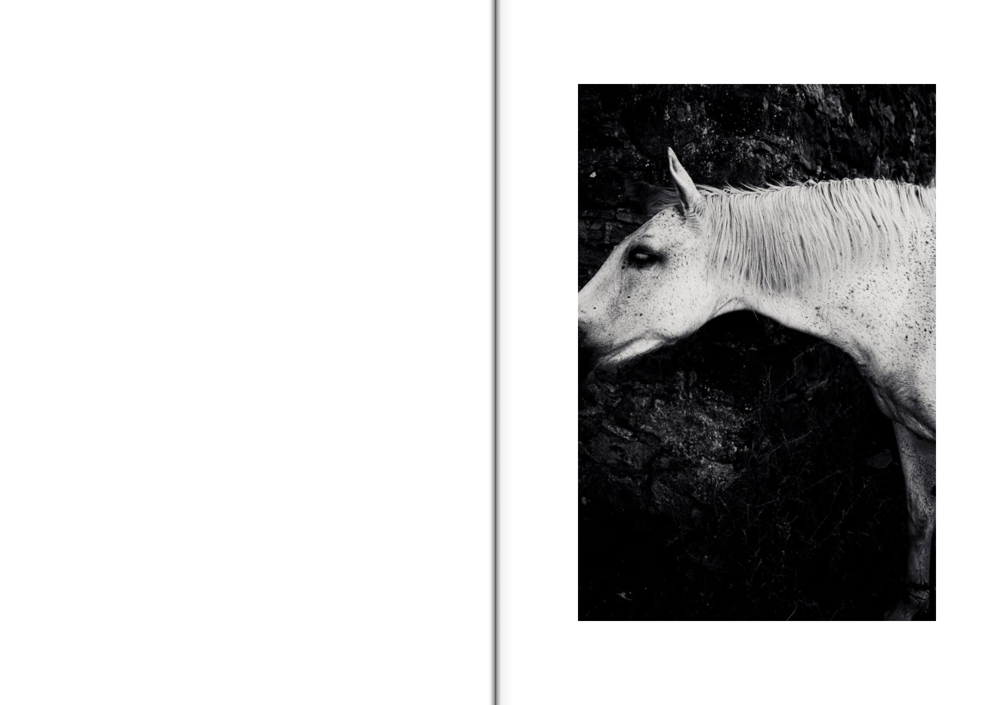 Resonances 2 Mathias Koch.png