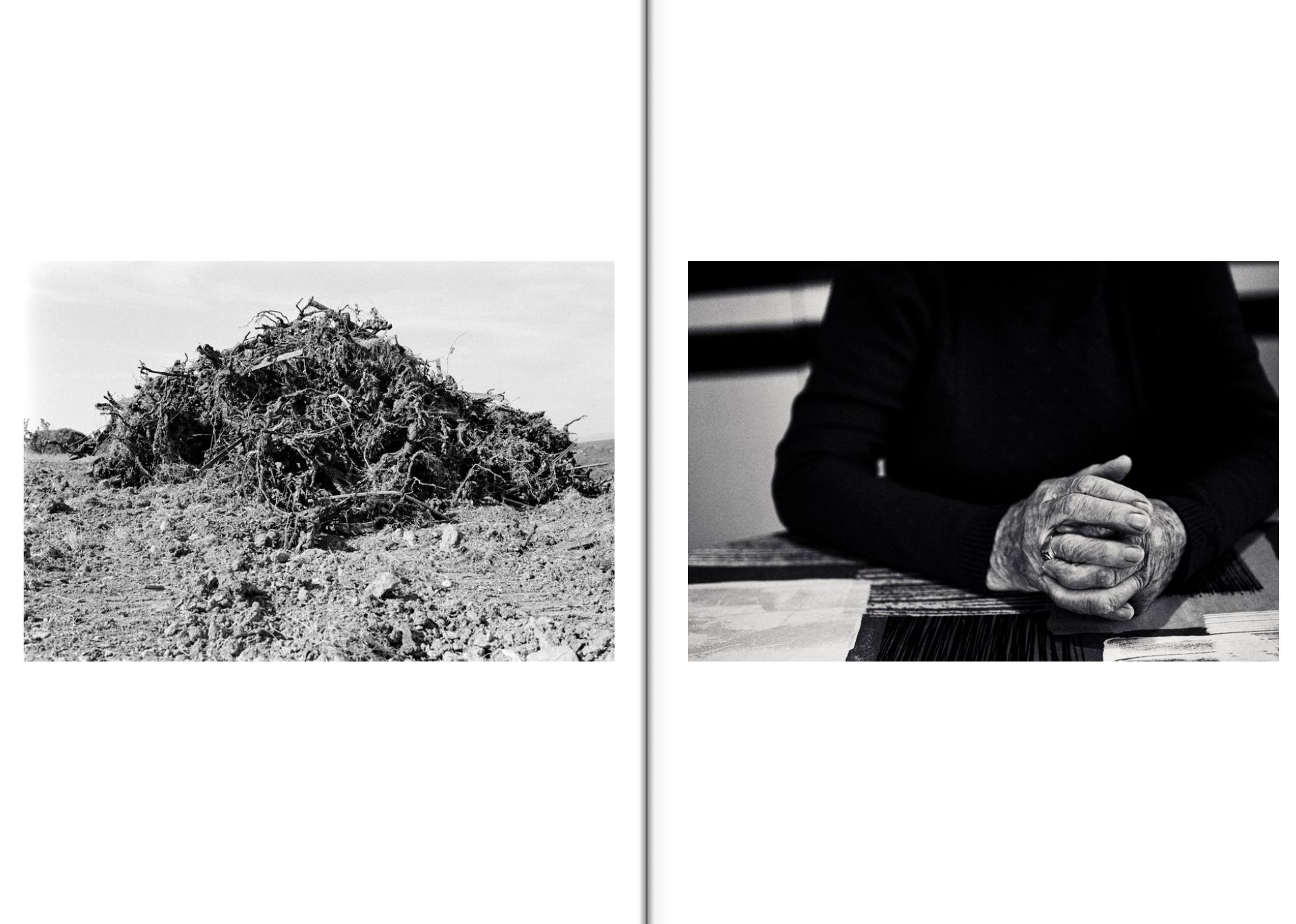 Resonances 4 Mathias Koch.png
