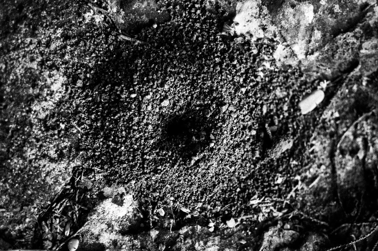 Resonances Matthias Koch-7.jpg