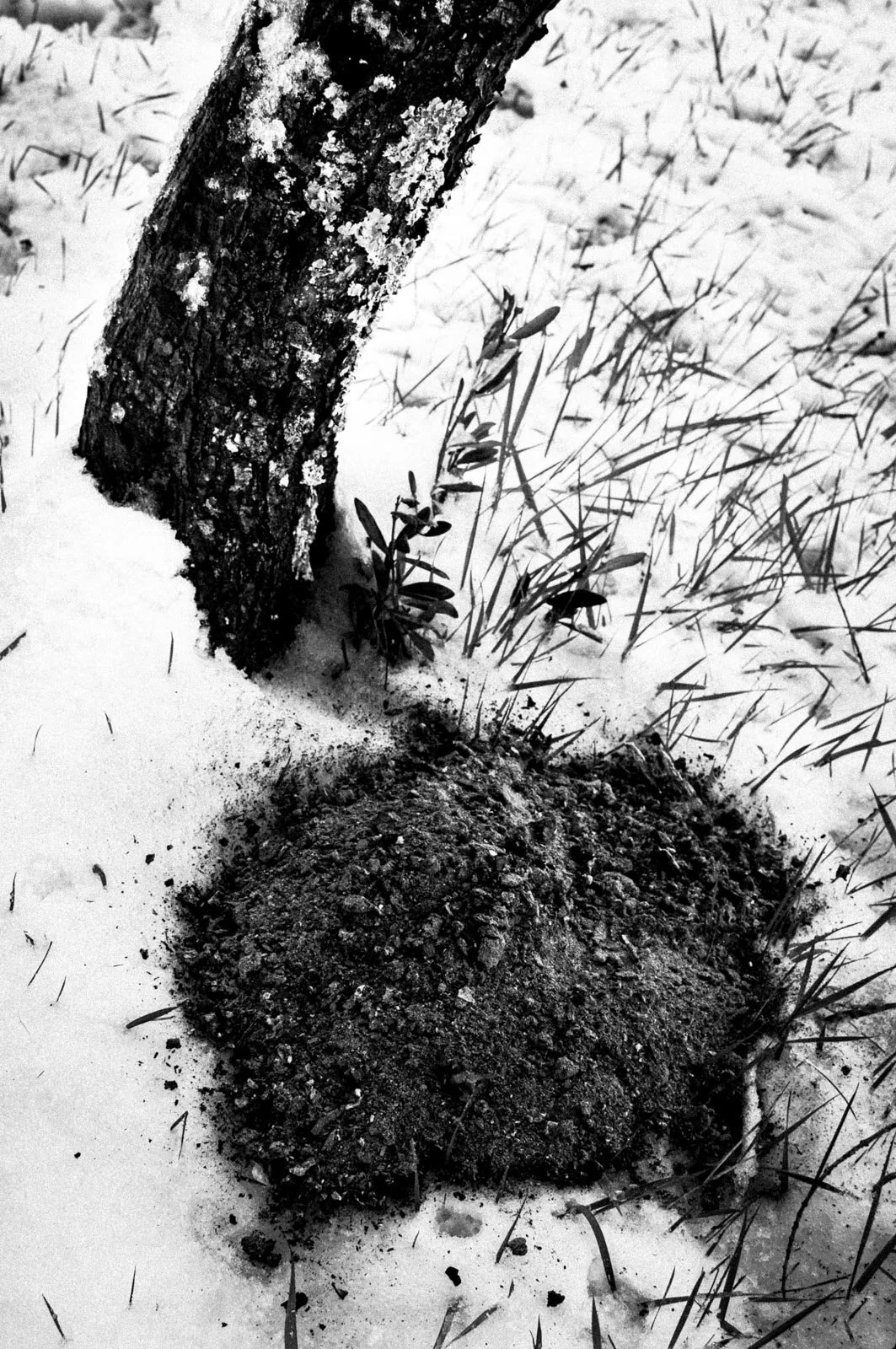 Resonances Matthias Koch-3.jpg