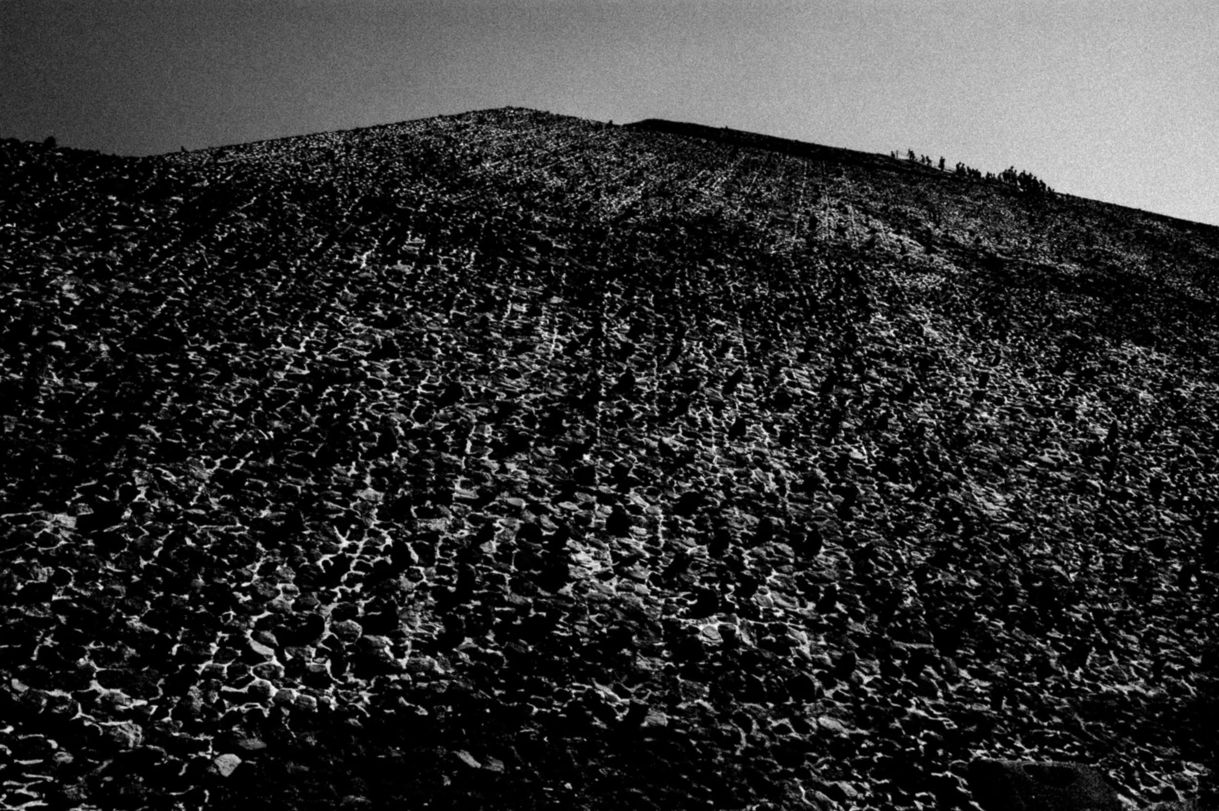 KOCH MATTHIAS THEME MEXICO-1.jpg