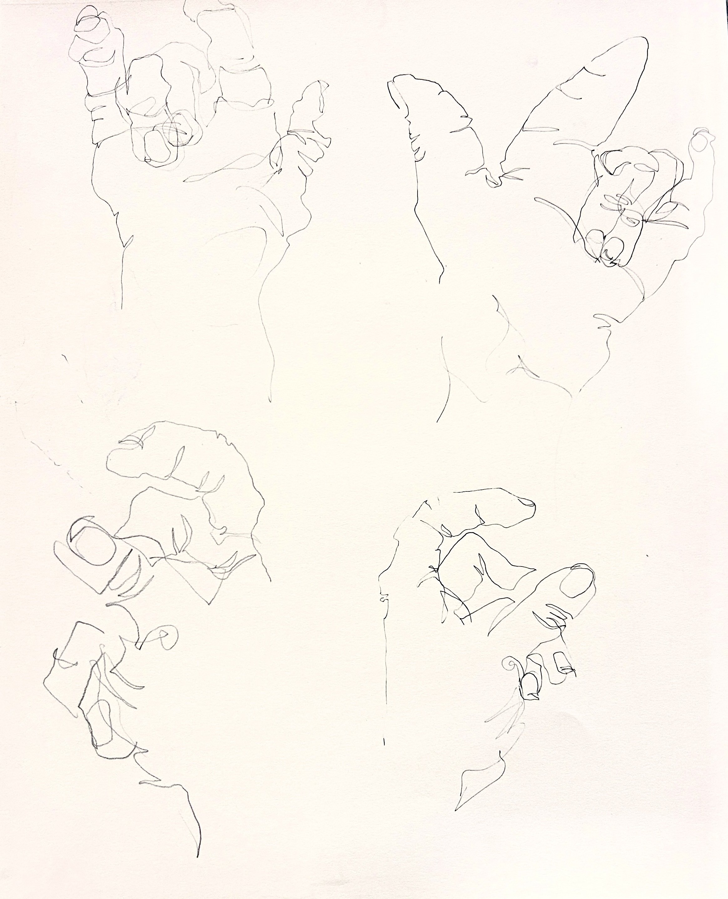 Blind Contour Hand Drawings