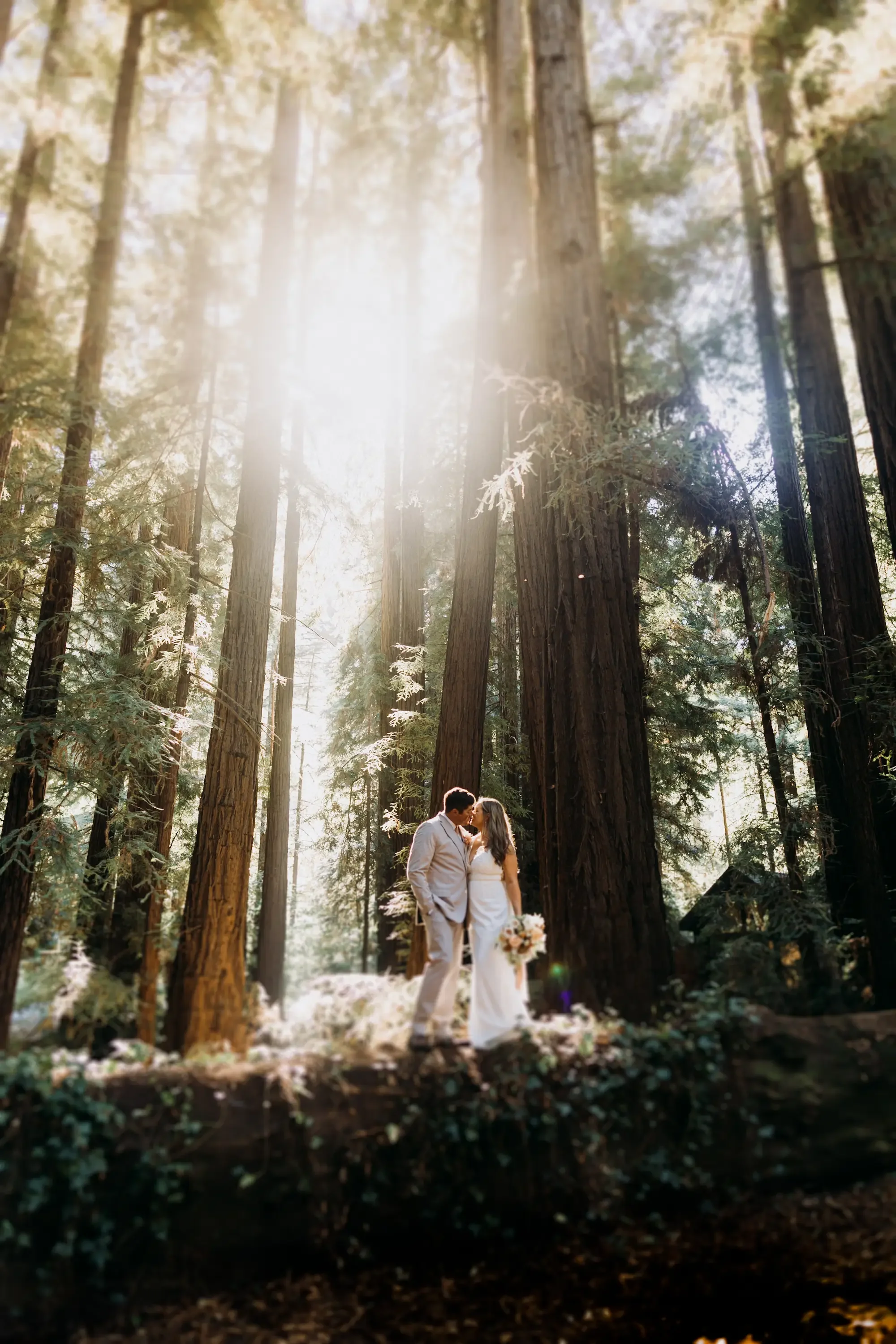 Big Sur California wedding with fully planned services in the Ventana Wilderness