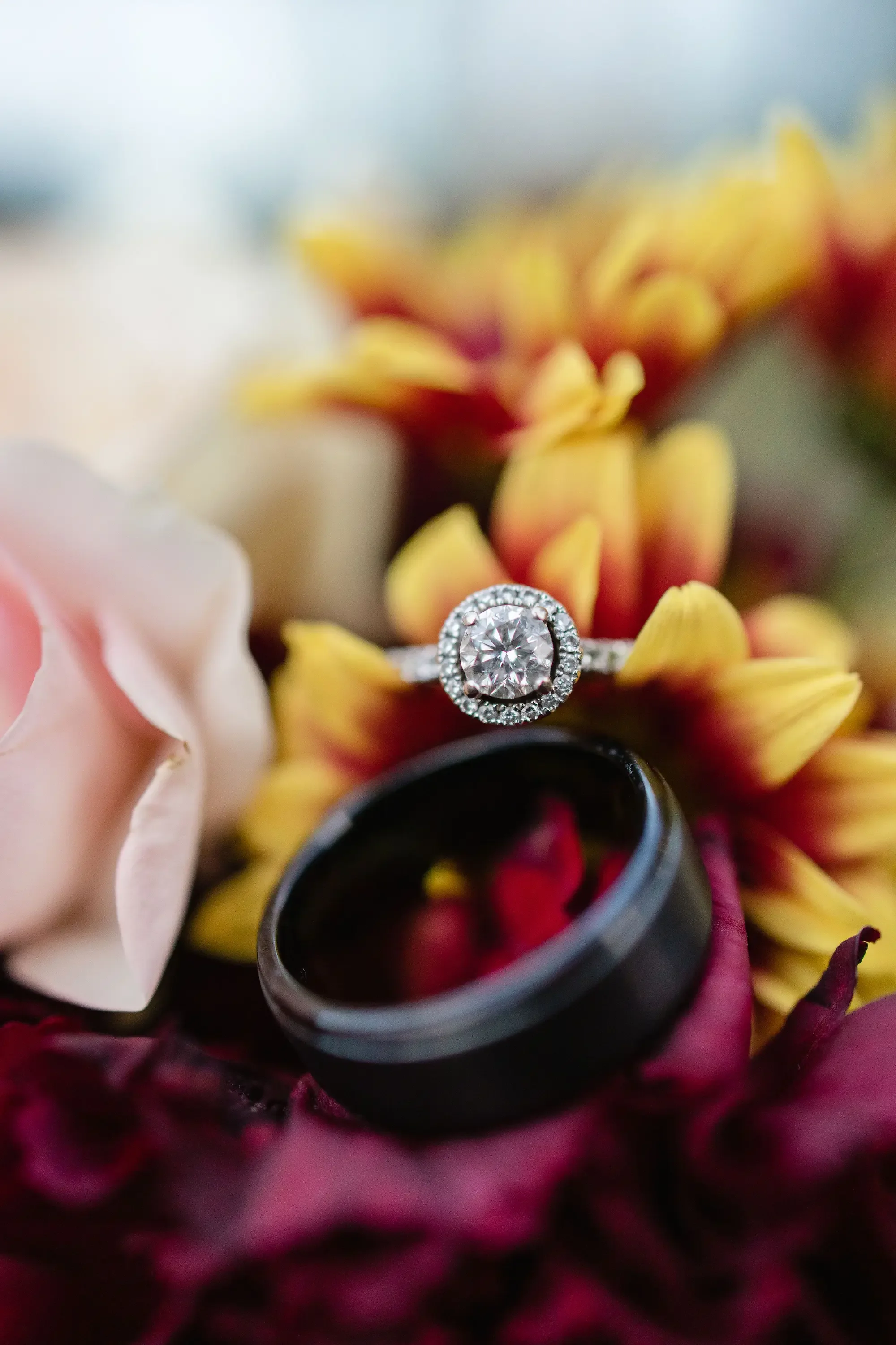 The Best Outdoor Wedding Venues in Southern California: A Local Planner's Guide