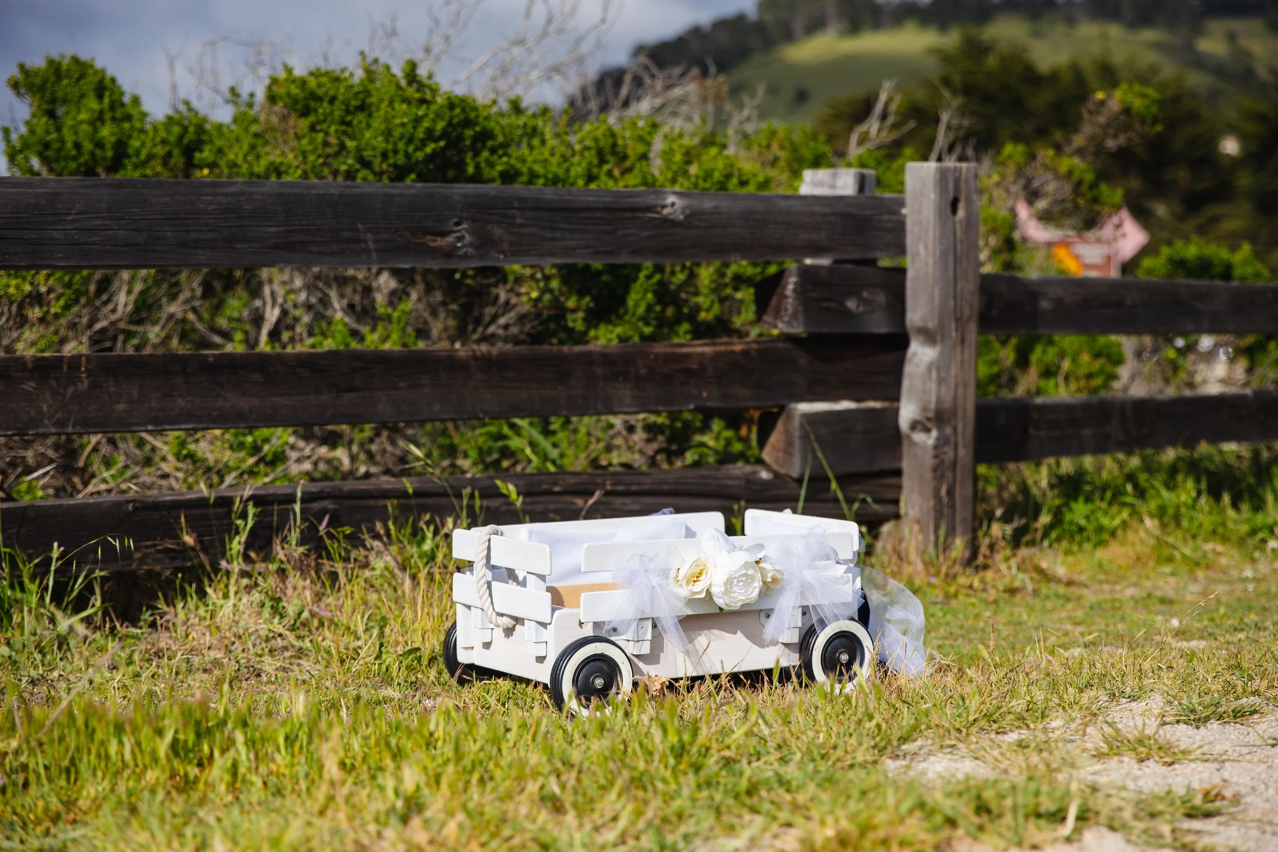 Kaitlyn and Jason- 0099.jpg