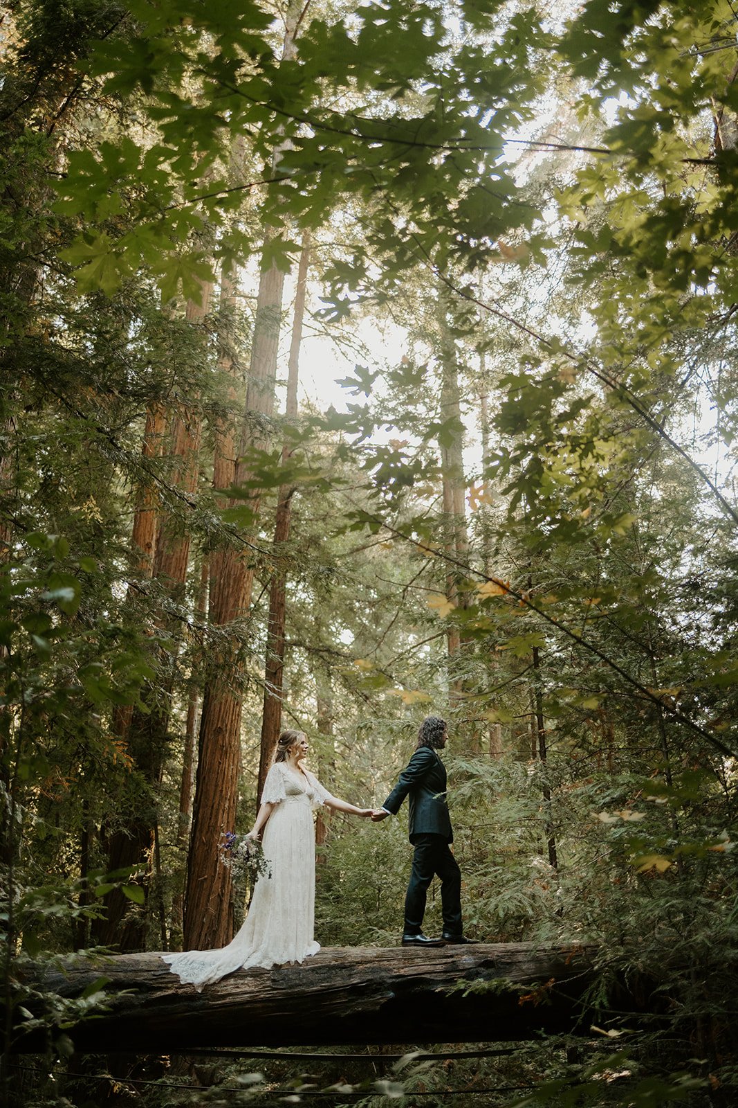 Big Sur day of wedding planning service with the bride and groom walking across a tree trunk in the Ventana Wilderness