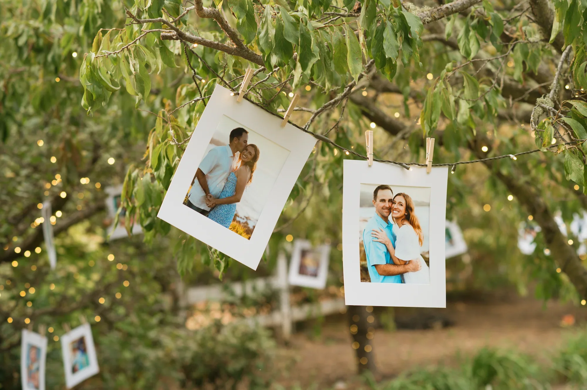 Carmel Valley California partially planned service with photos hanging from trees