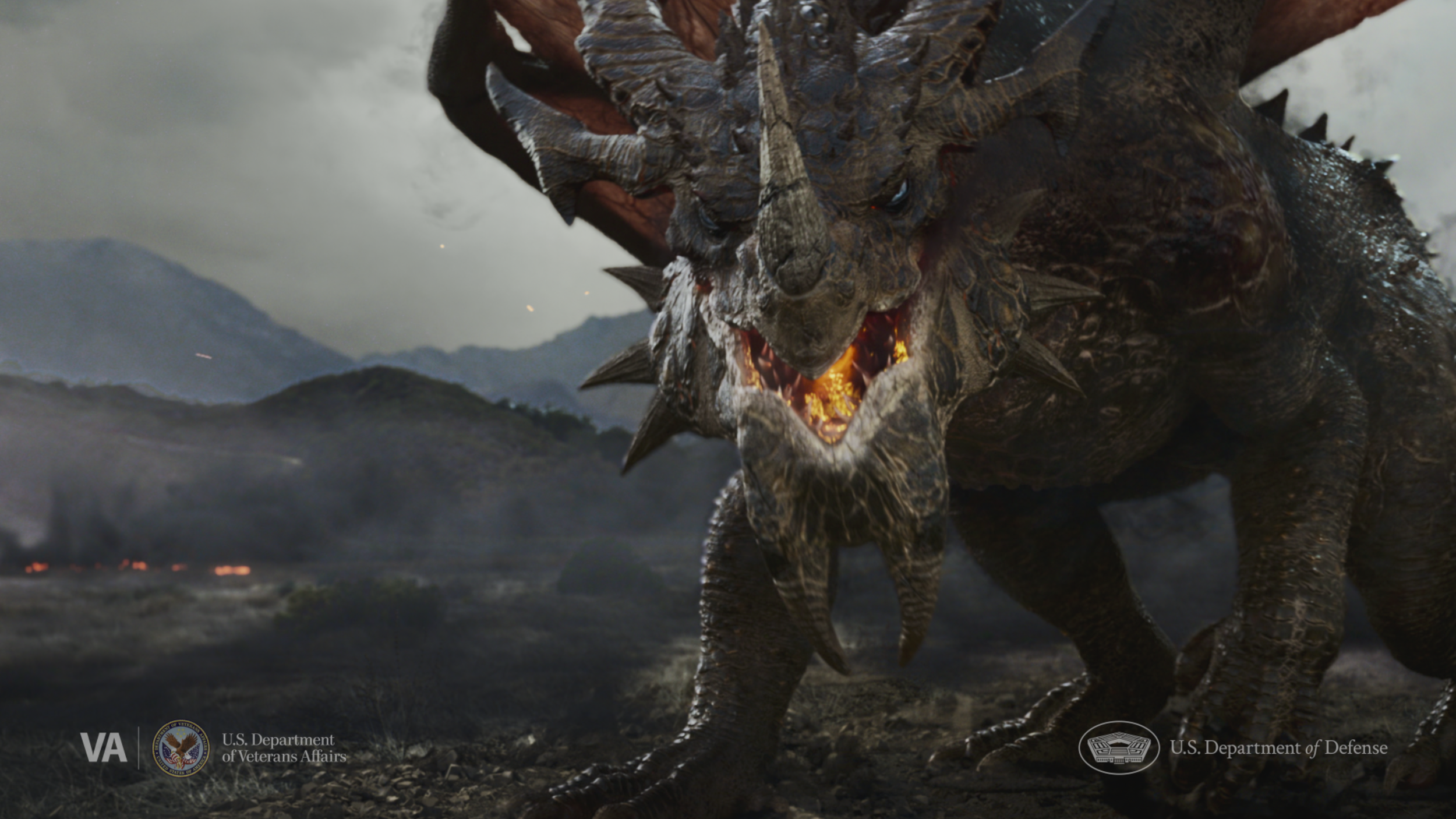 U.S. Department of Veterans Affairs | Face Your Dragon