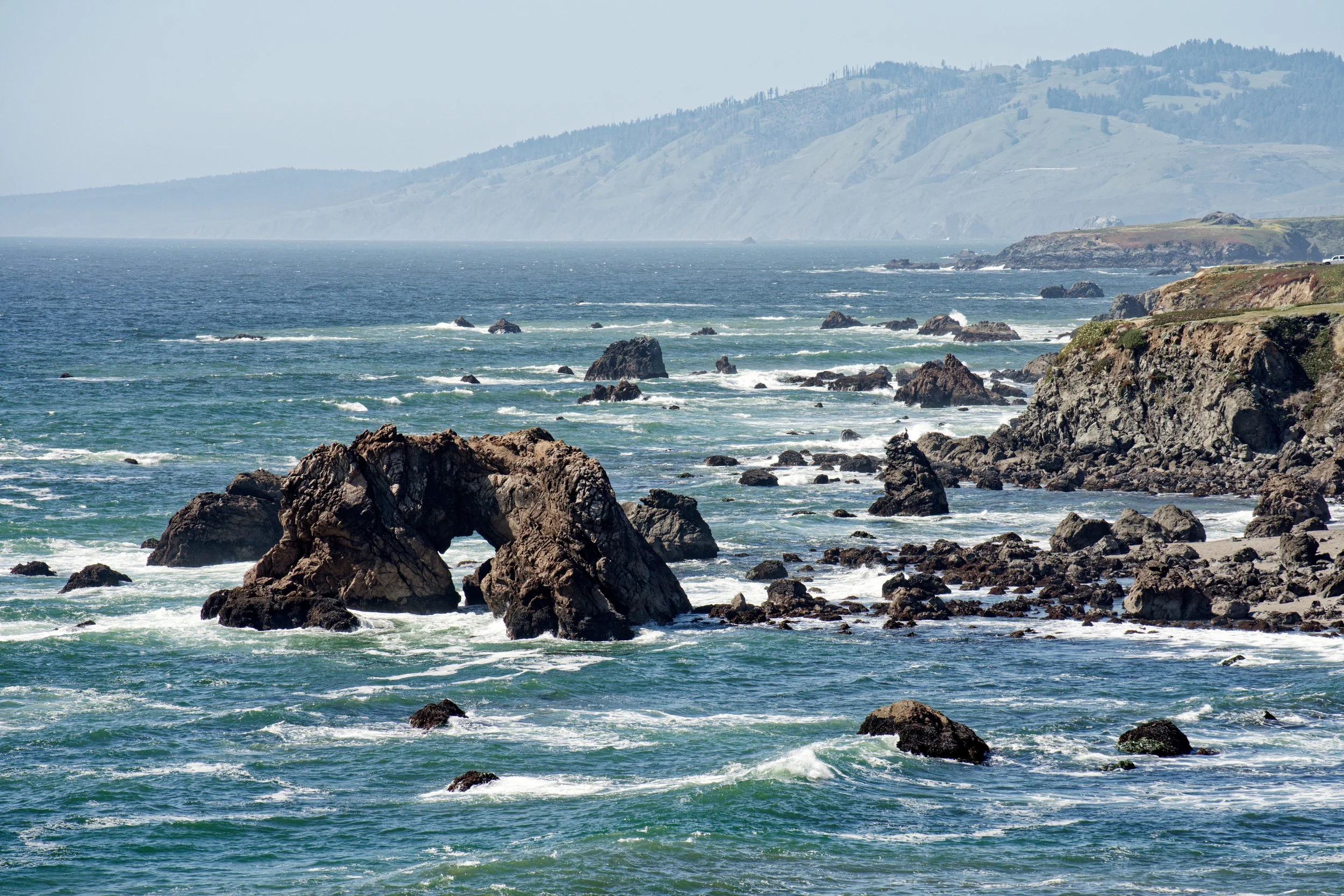 Bodega Bay, California