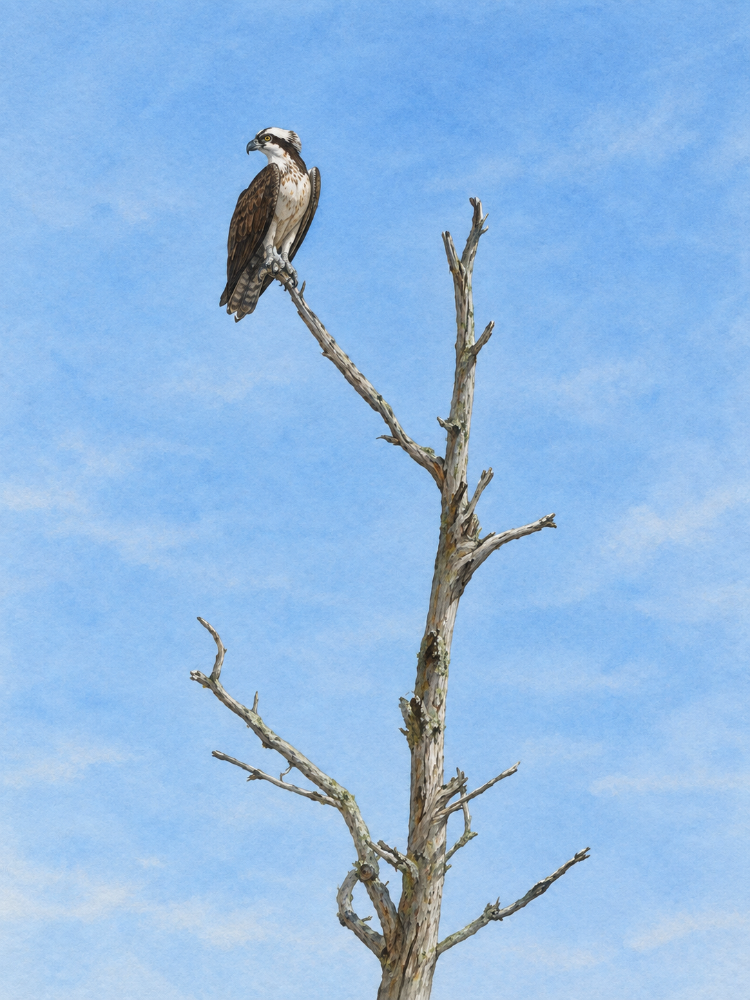 exec-7262b776-e3d1-41ab-9c49-670018610ae8.png