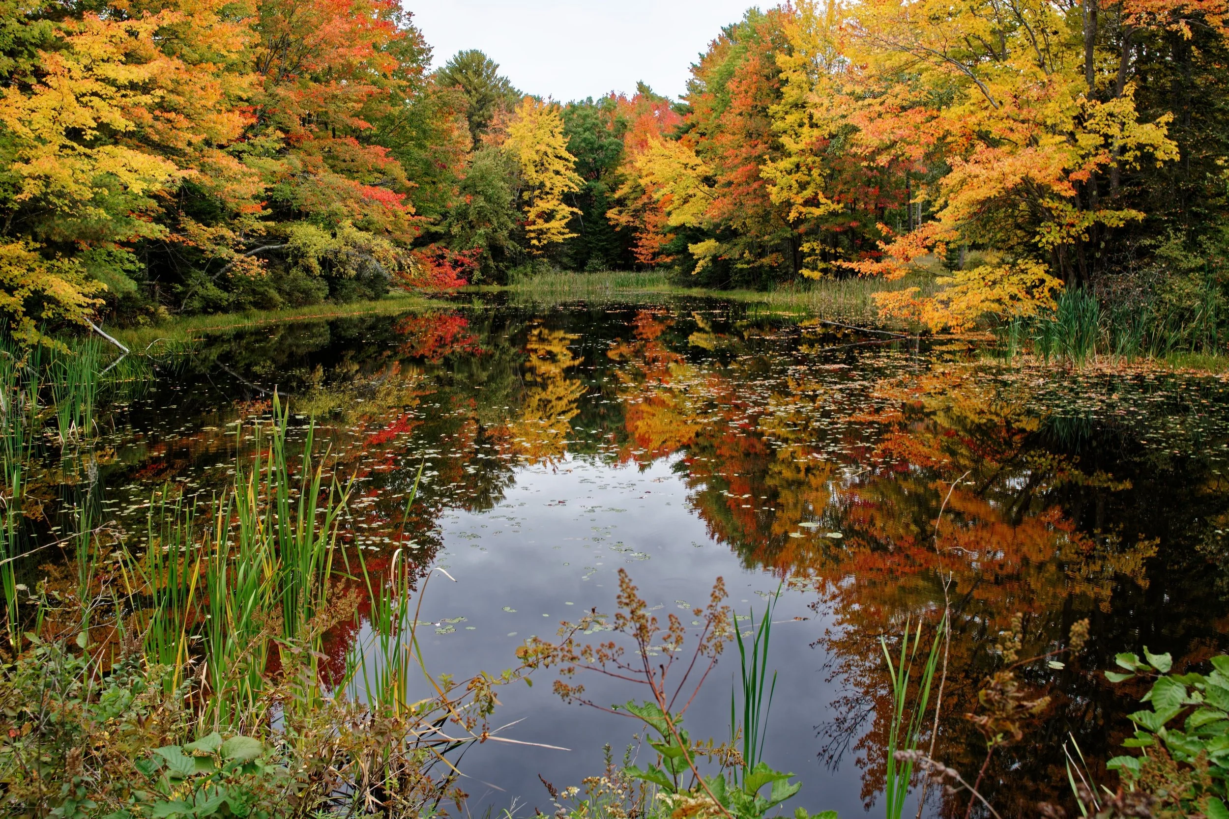 Fall Colors at Durham, Maine