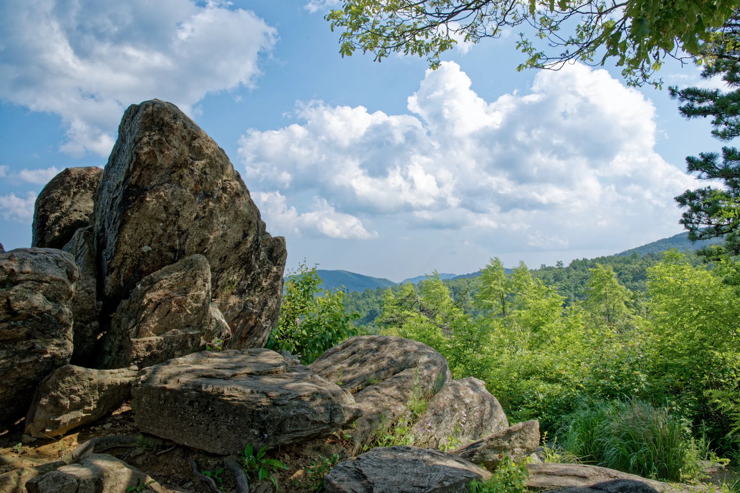 Shenandoah National Park, Virginia