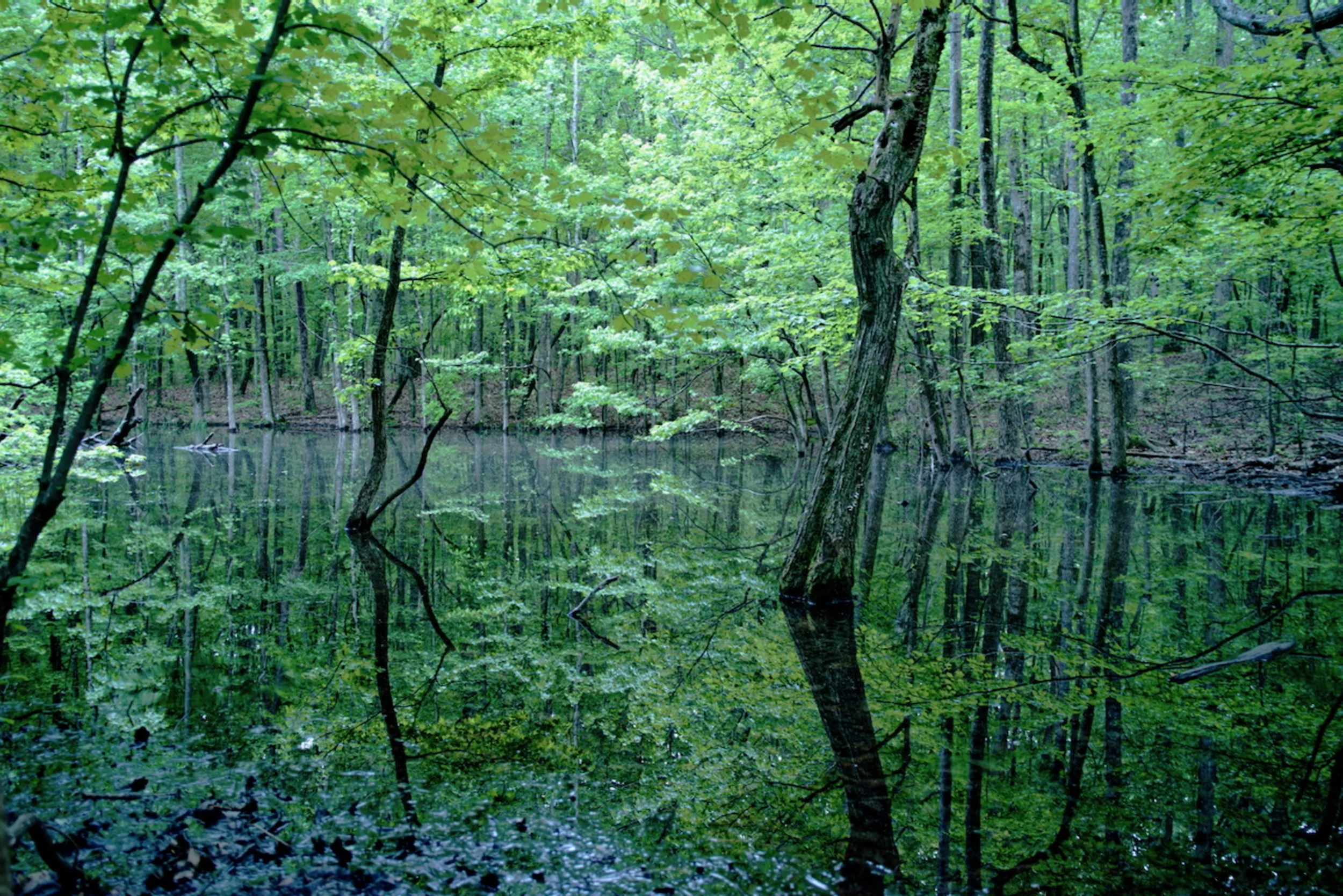 Monte Sano State Park, Huntsville, Alabama