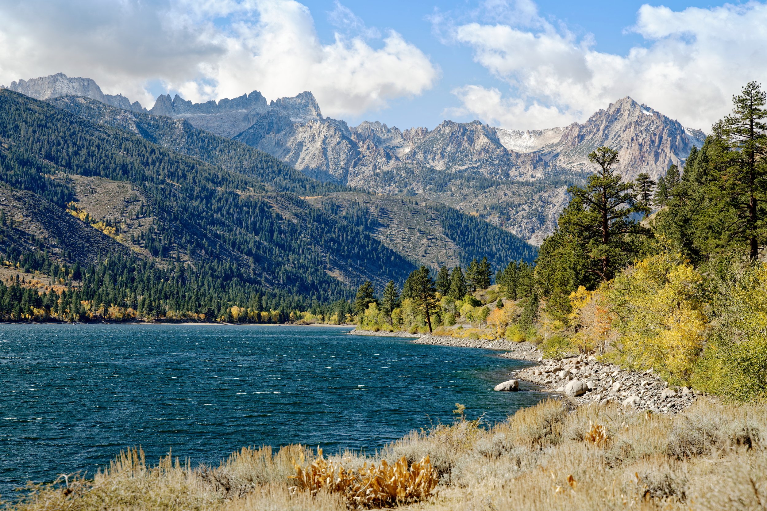 Eastern Sierras, Bridgeport, California