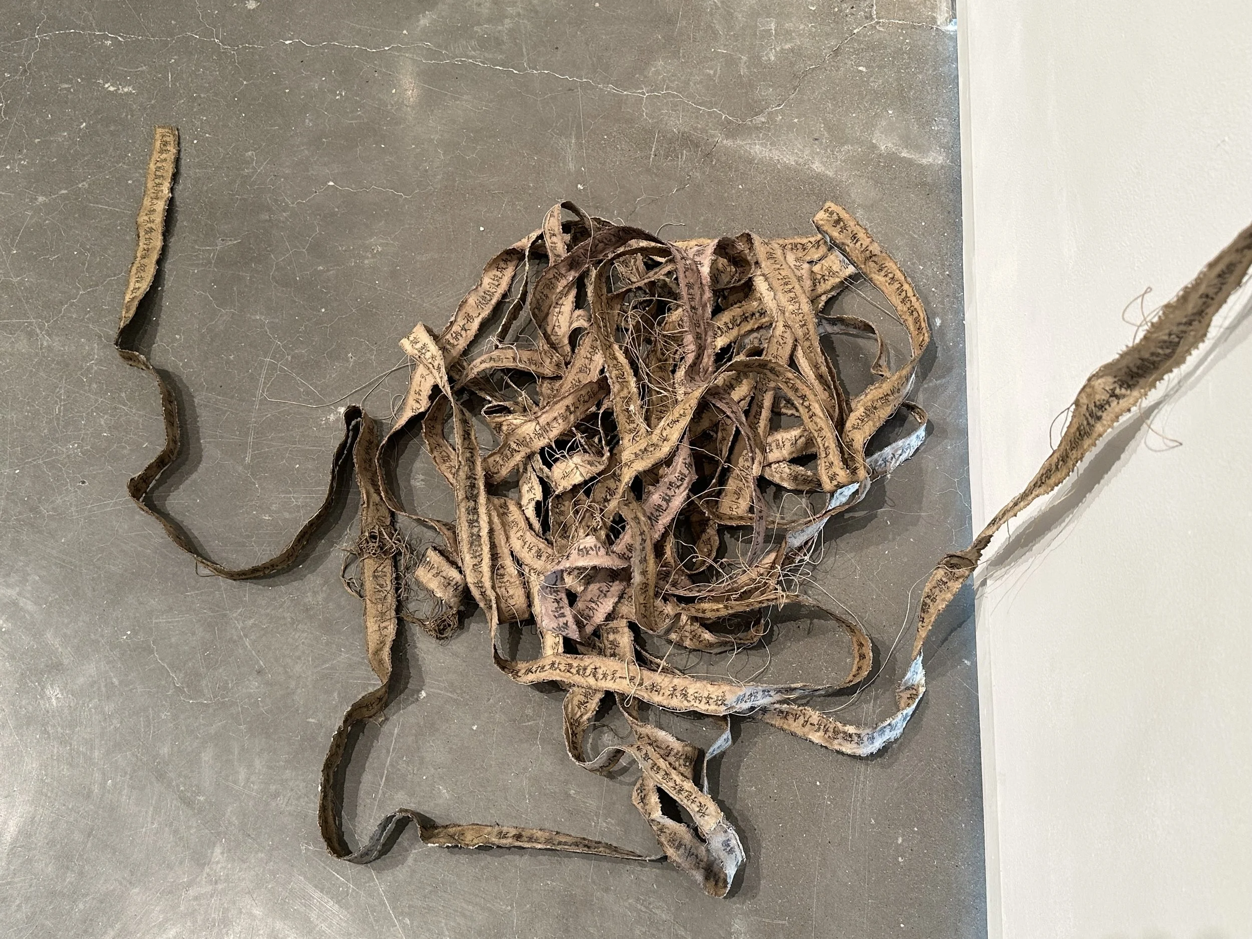 I'm Sorry I didn't become the Other Puppy