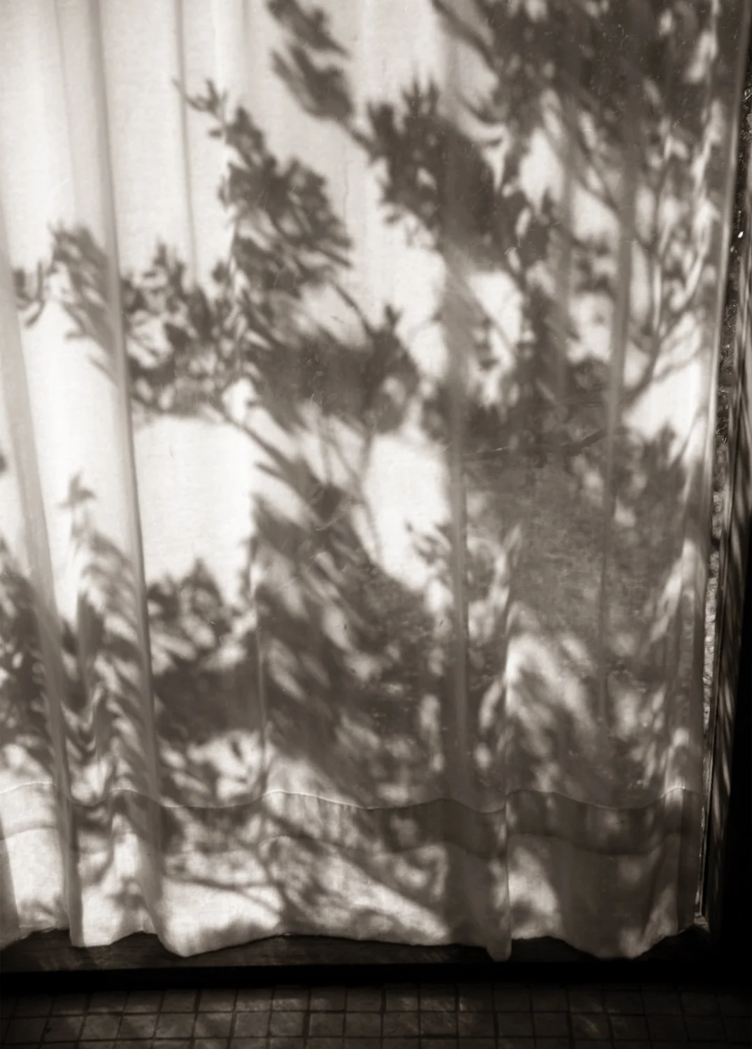 _37A2726BWcrop.jpg