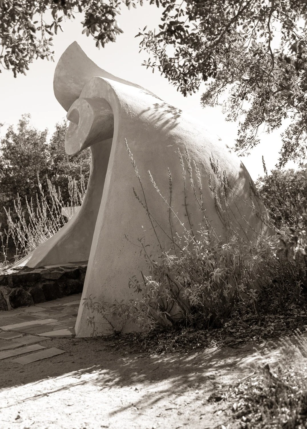 _37A2863BW_crop.jpg