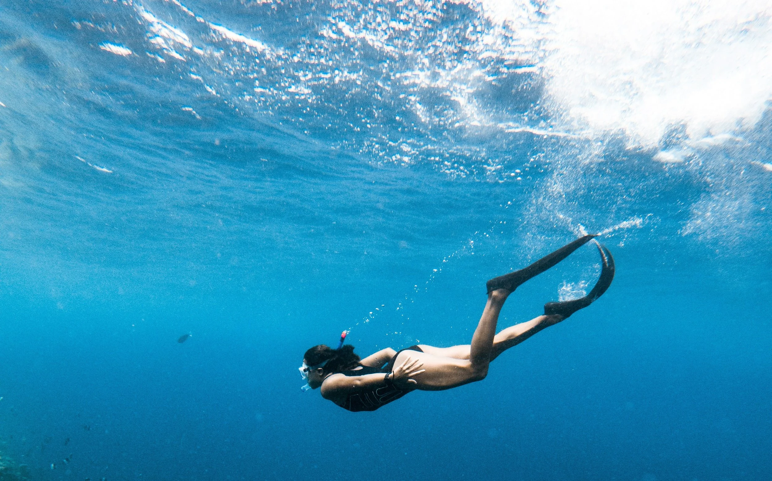 The Best Snorkeling on Maui Right Now