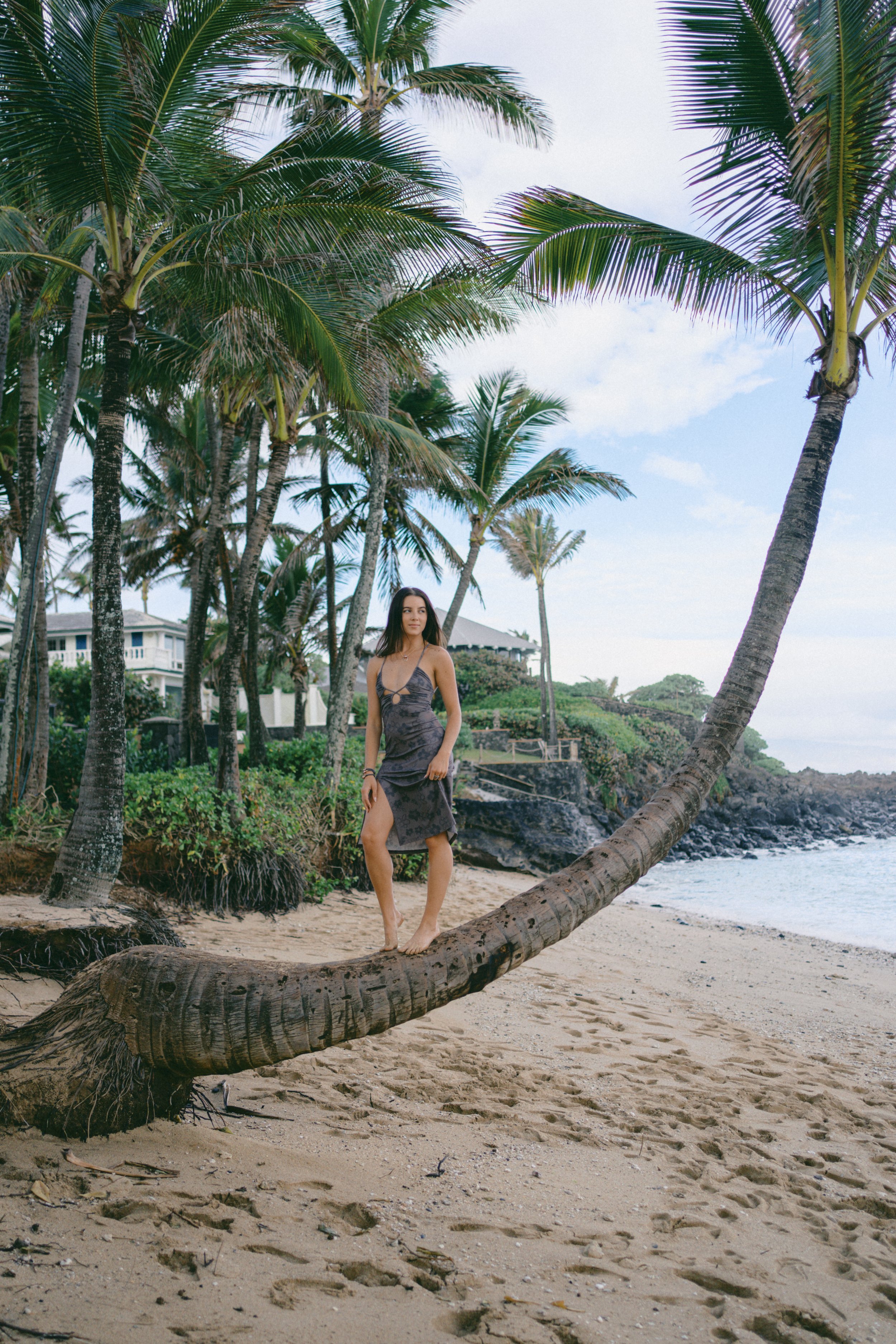 Nanea Viggers Maui Model on Palm Tree