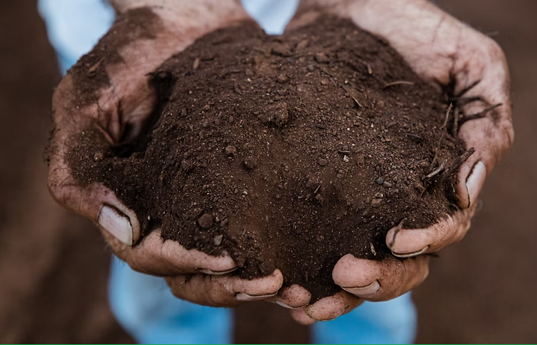 Mālama ʻĀina: Hawaiʻi Organics Compost Is Closing the Loop on Maui