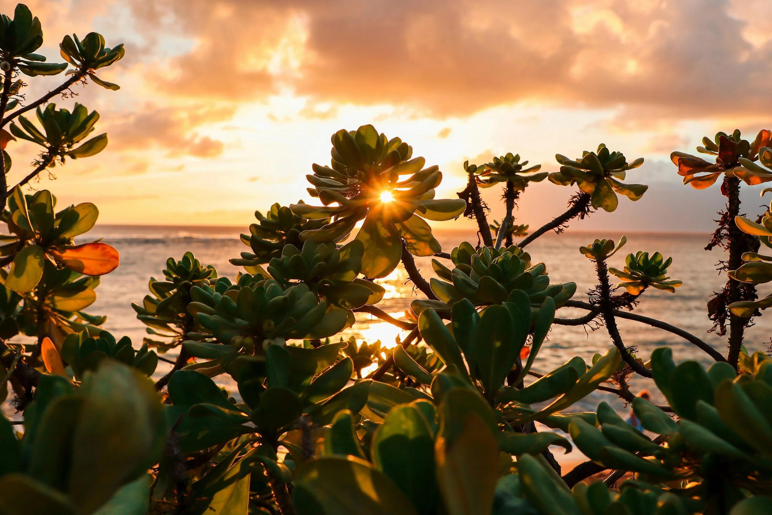5 Ways to See Tourists Differently this Summer