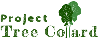 Project Tree Collard