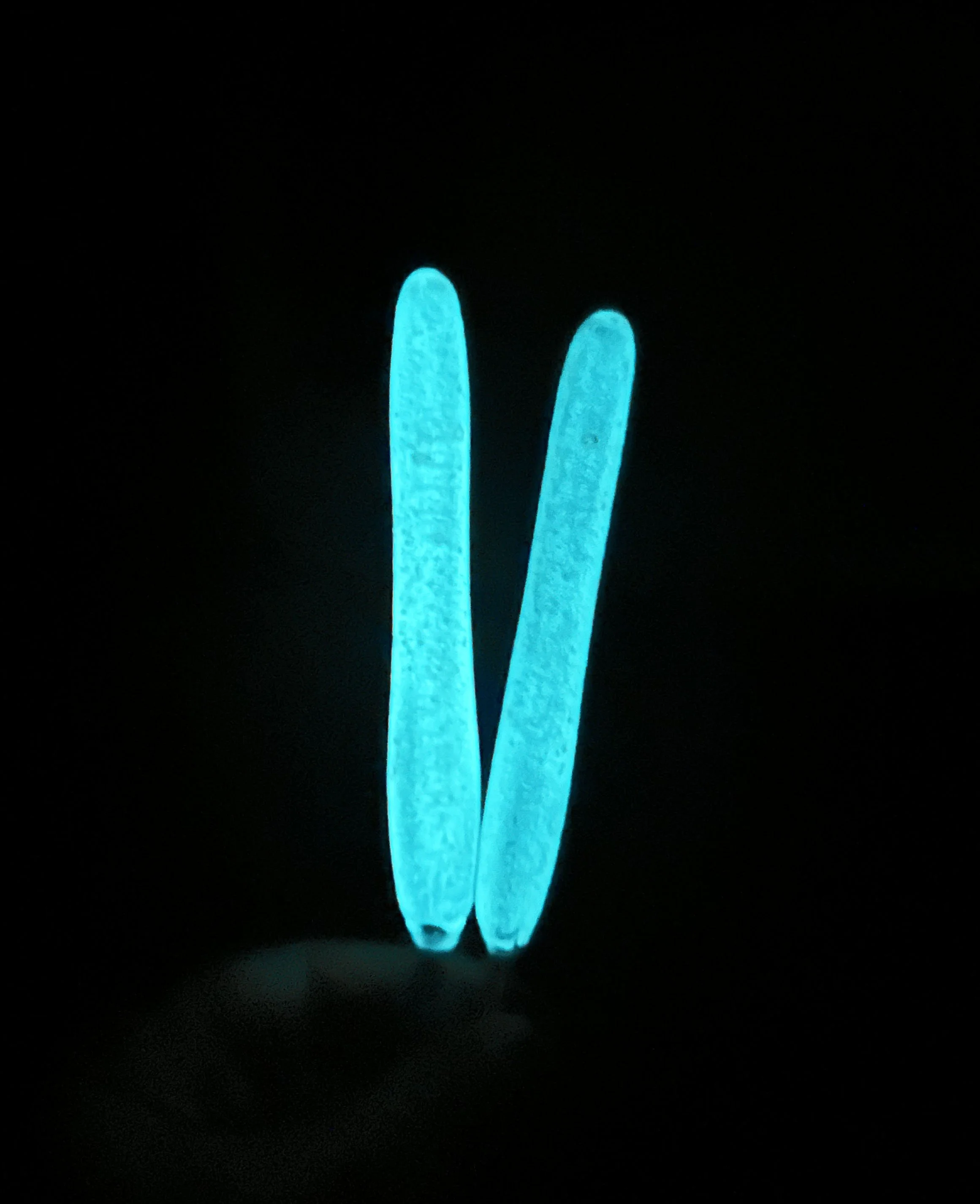 Nightmare Before Crochet(2).jpg