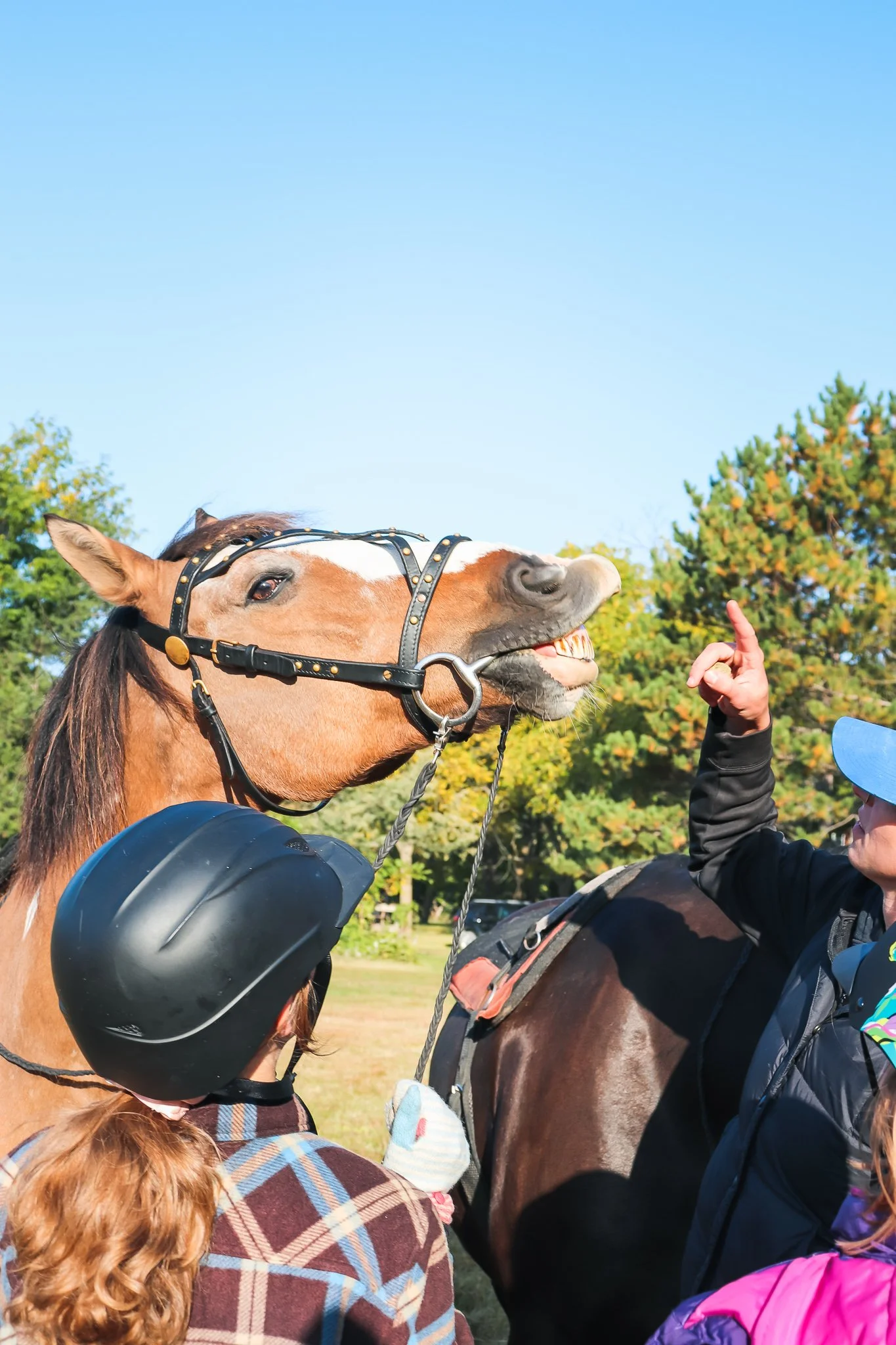 A person on horseback raising a finger while a horse makes a funny face near children with helmets, outdoors with trees.
