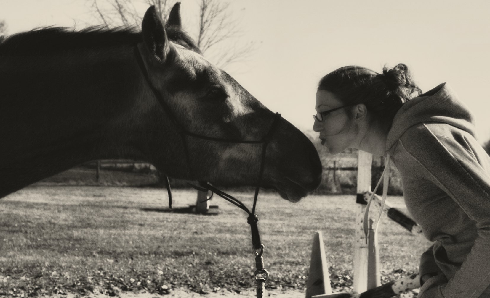 A woman in glasses and a hoodie is kneeling close to a horse, their foreheads touching in an outdoor setting with a fence and some trees in the background.