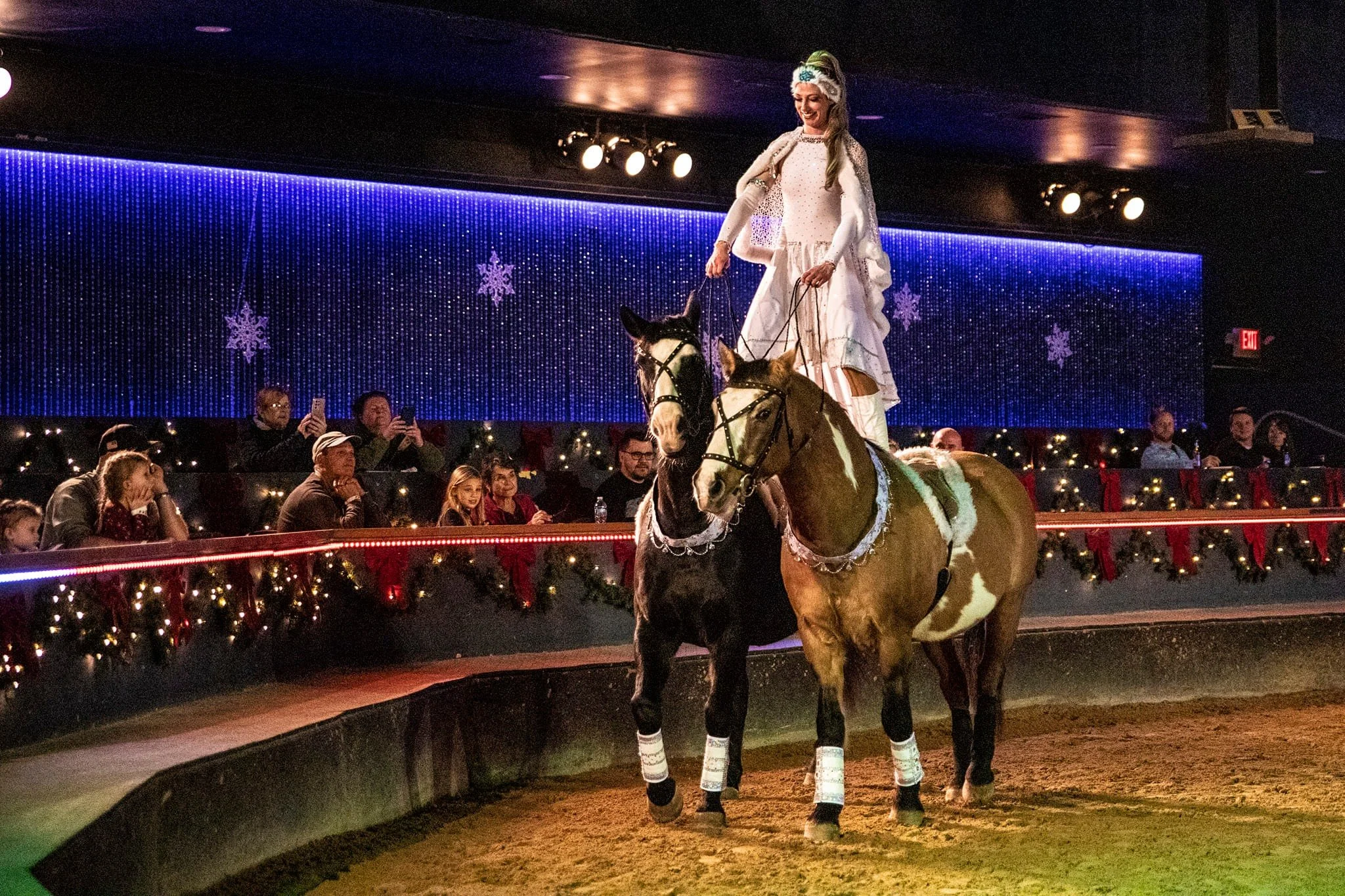 A woman dressed as a princess performs a horse riding stunt on two horses in a ring, with spectators watching from behind a decorated railing.