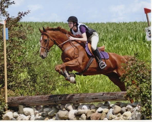 A person riding a brown horse jumping over an obstacle during an equestrian event in a grassy outdoor area.