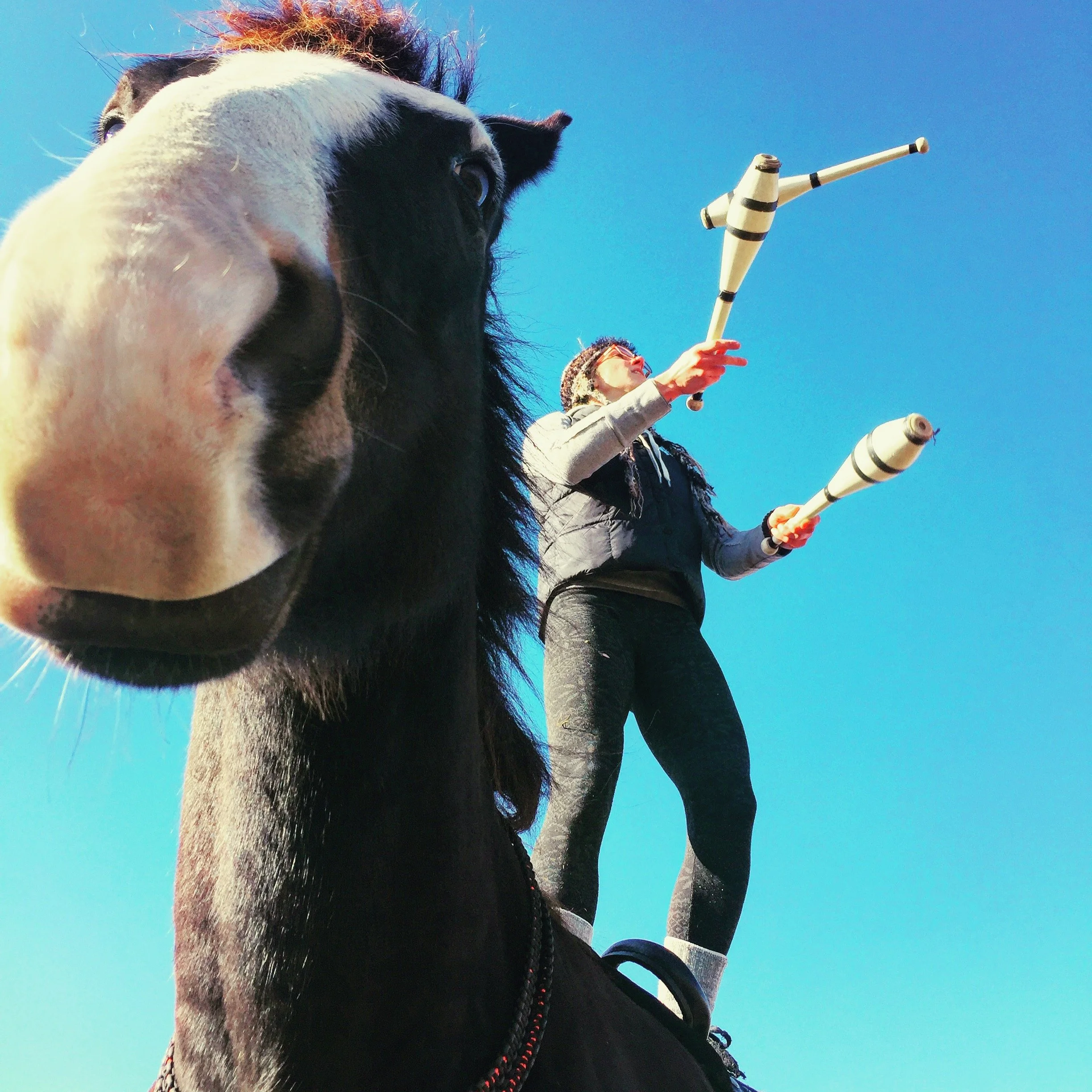 Close-up of a horse's face with a person standing in the background holding juggling clubs