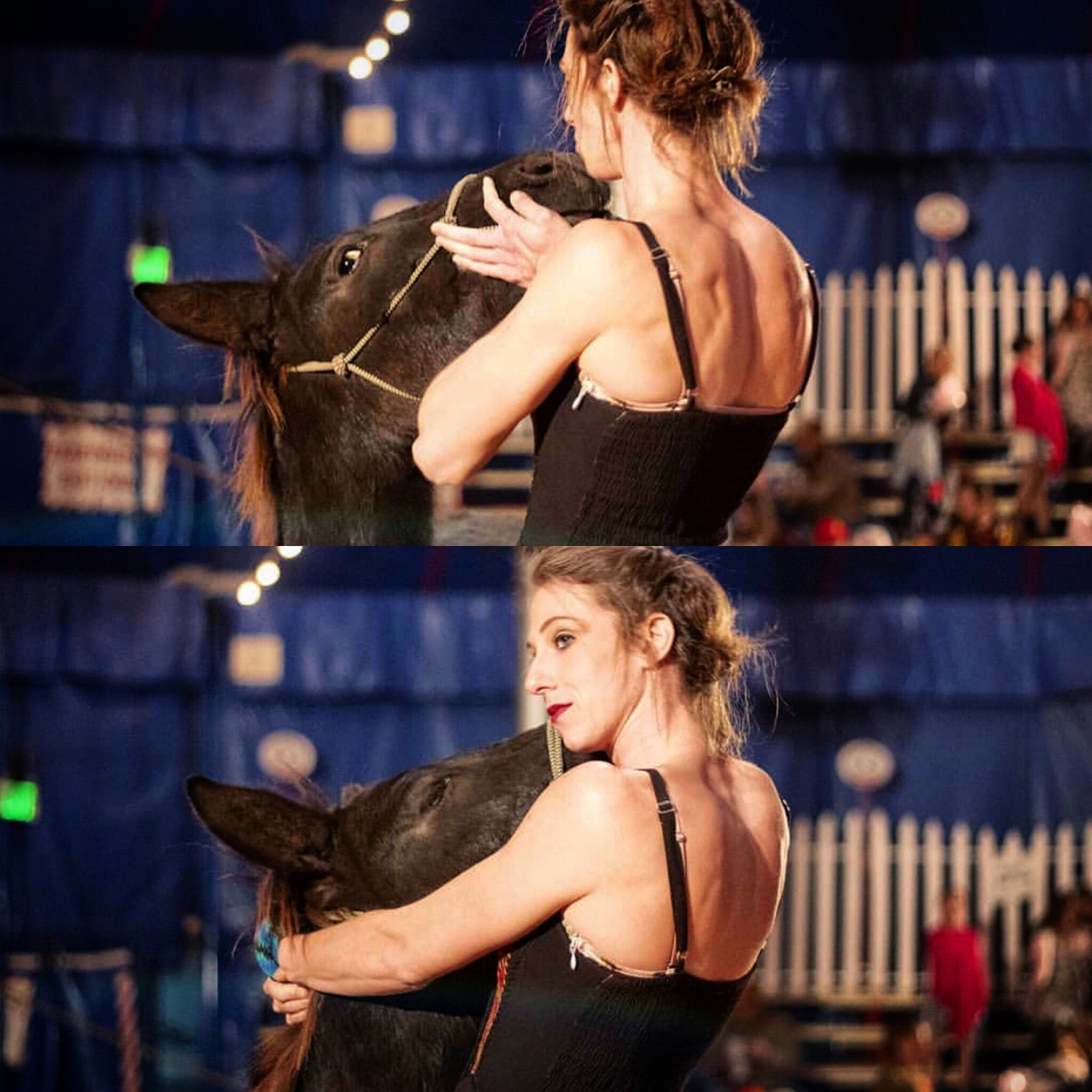A woman in a black dress holding a black horse's head in an indoor arena with blue walls and audience in the background.