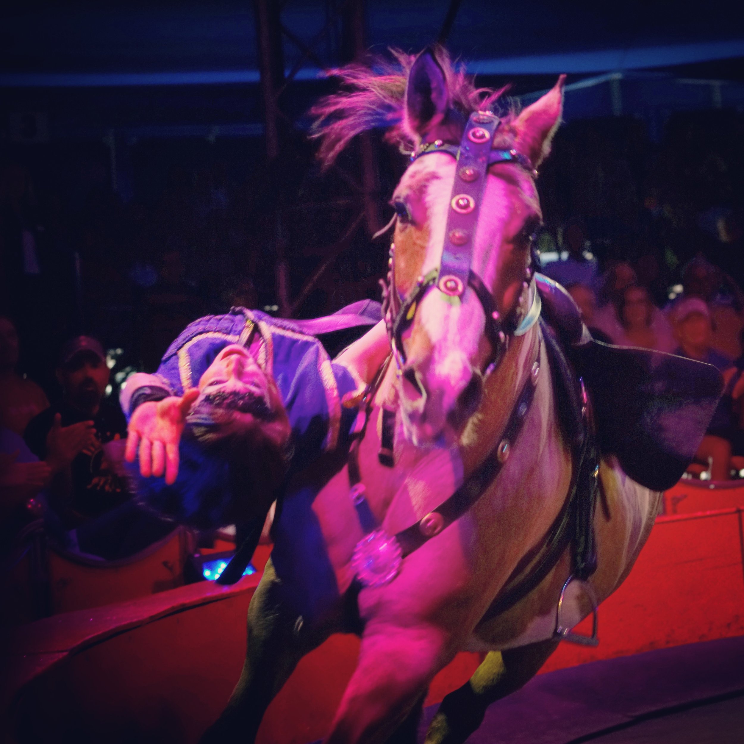 A rodeo clown on a horse with a bullfighting outfit in a rodeo arena, surrounded by spectators.