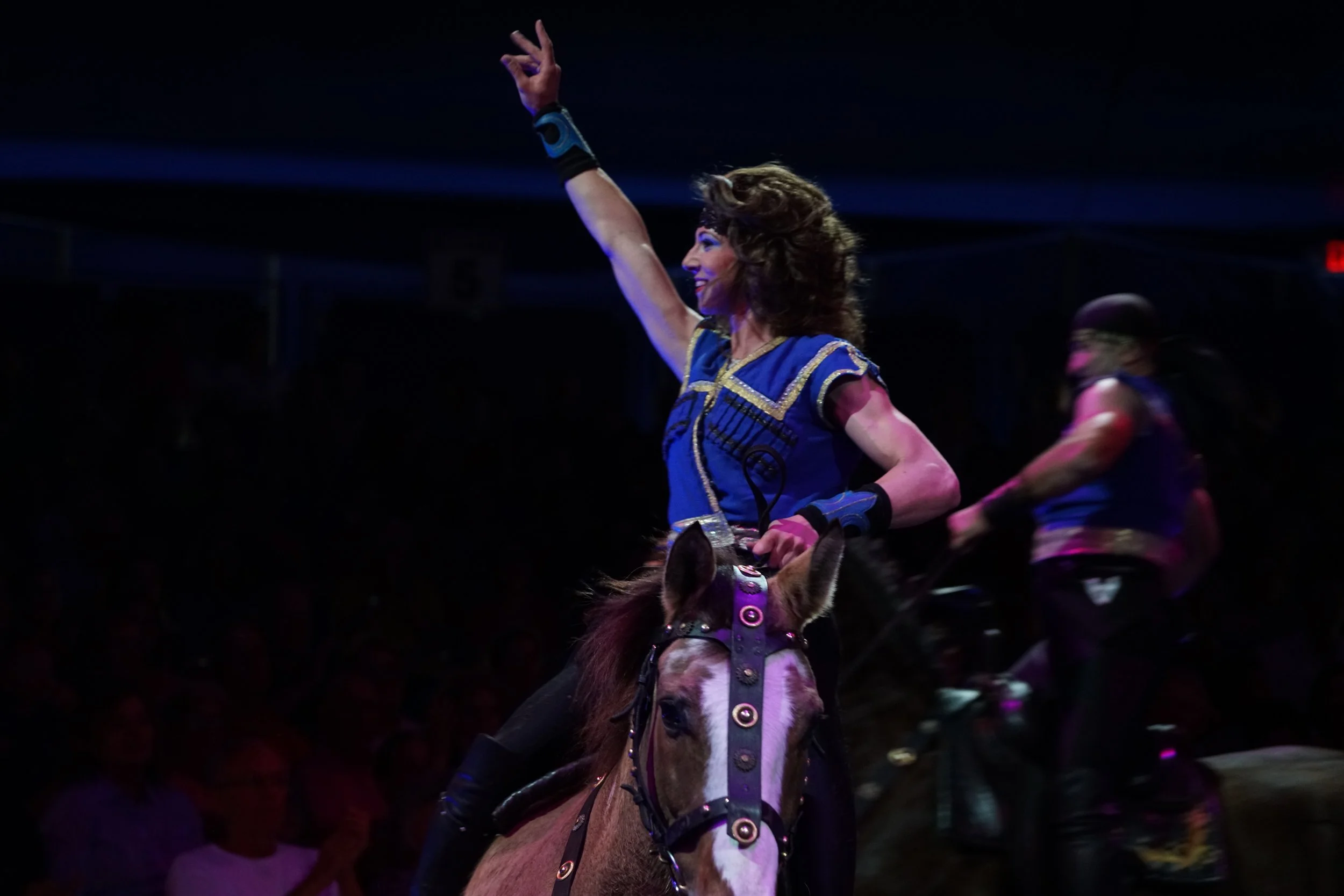Performer in blue and gold costume riding a horse during a live event.