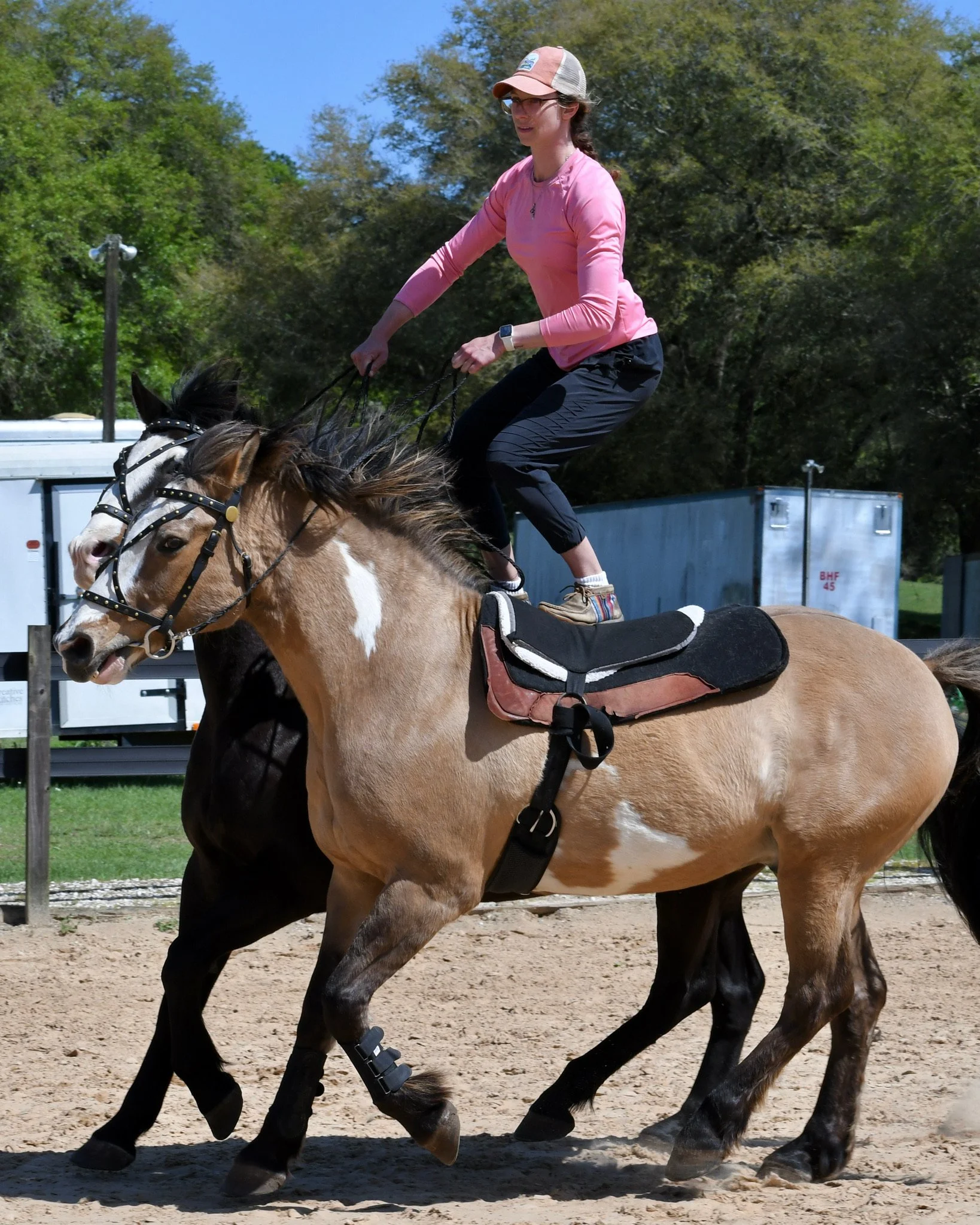 A woman riding a horse on a dirt track in a sunny outdoor area with green trees in the background.
