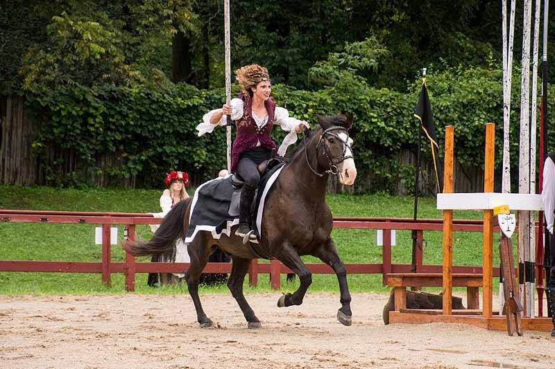 A woman dressed in medieval-style clothing riding a dark horse in a joust arena, with a young girl in a flower crown watching in the background.